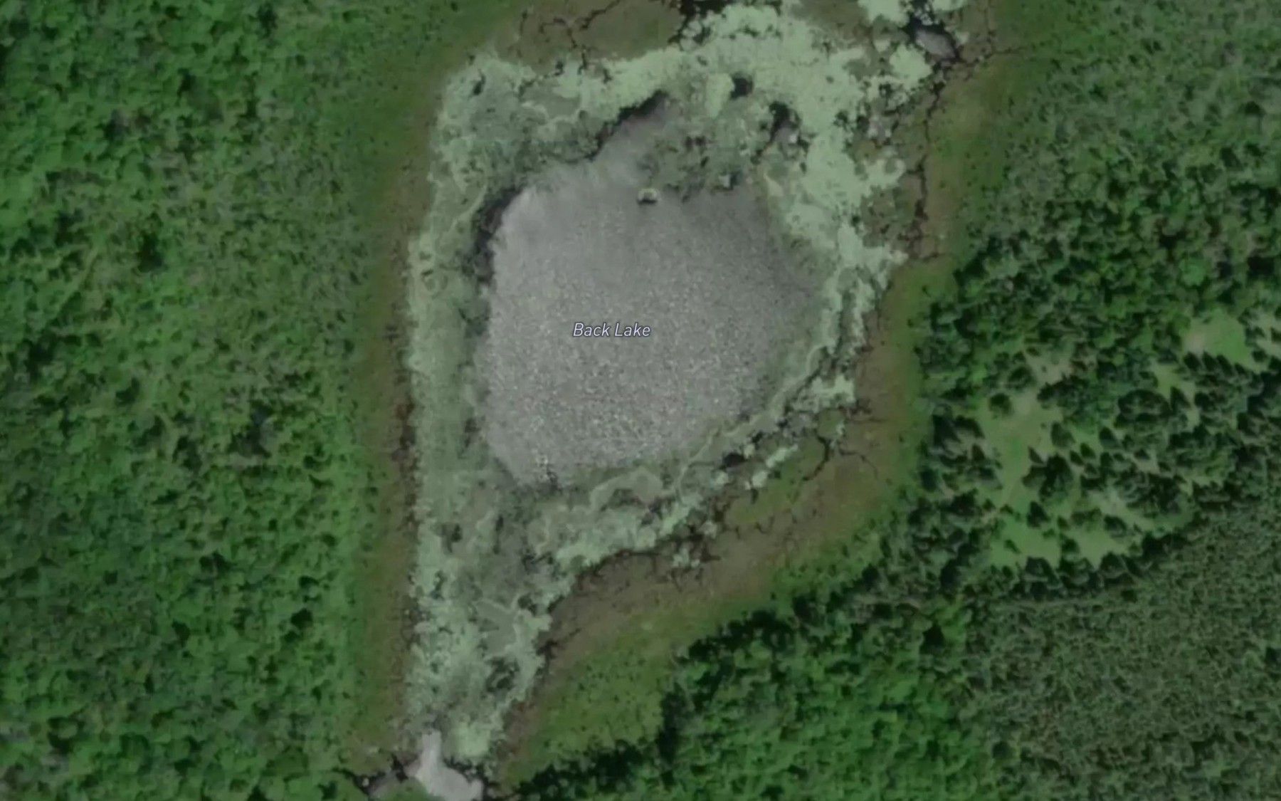 Satellite map of the Back Lake