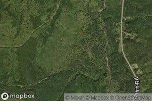 Meadow Brook