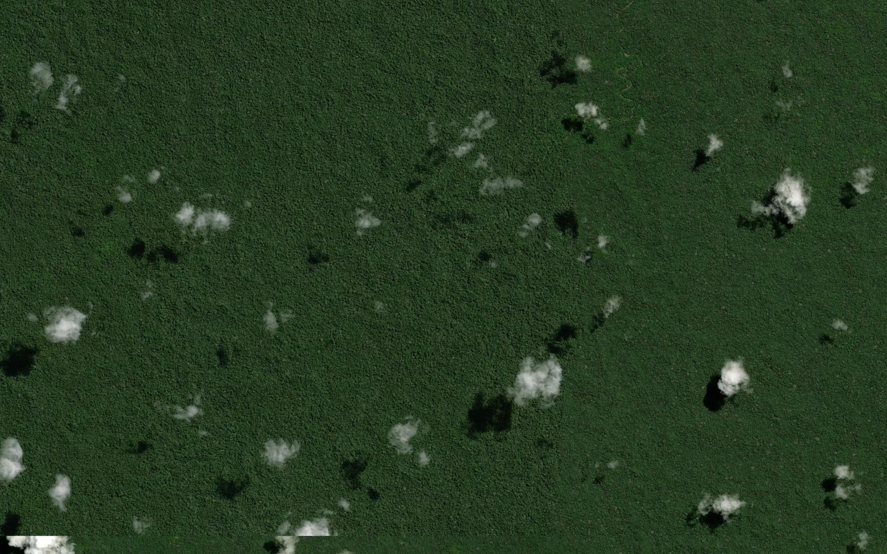 Satellite map of the Rio Esperanza