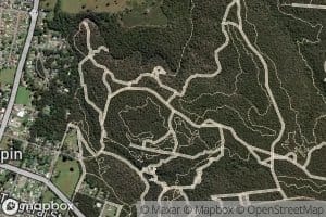 Sawpit Gully