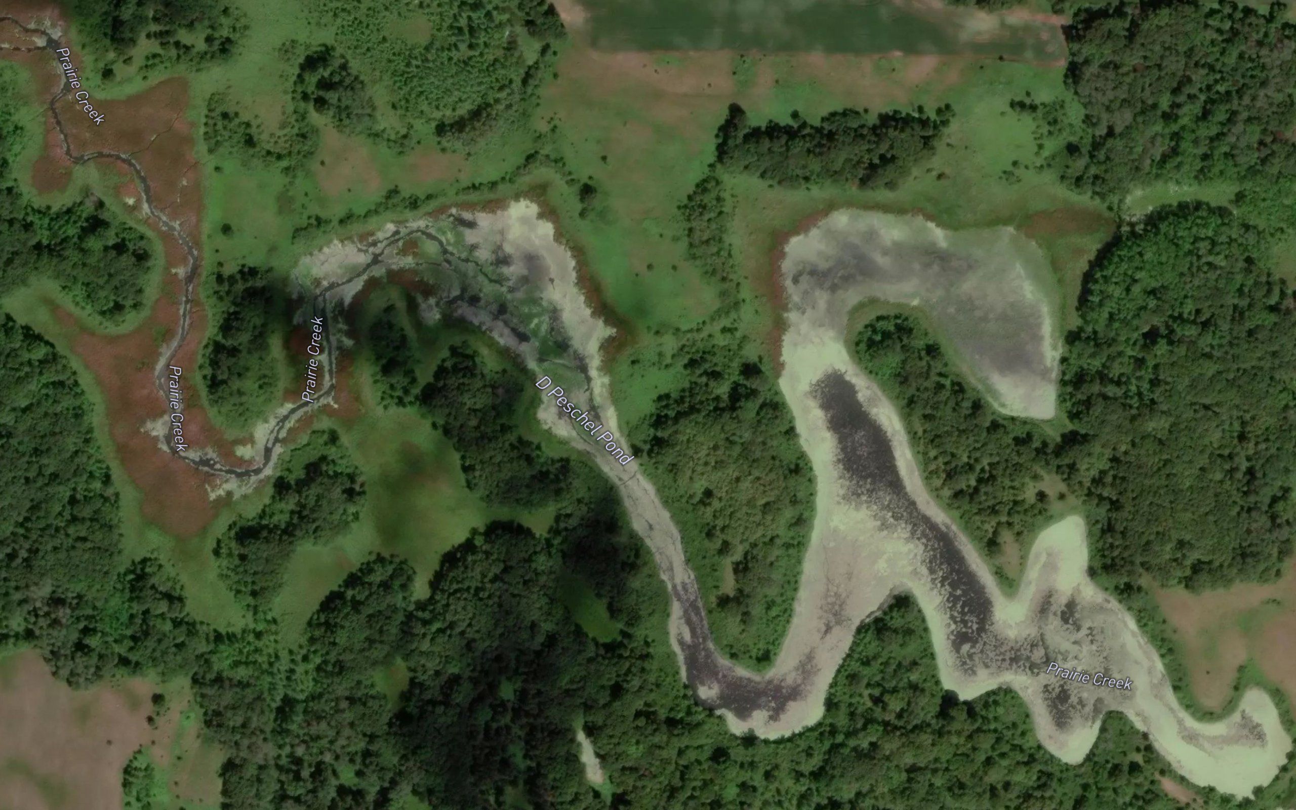 D Peschel Pond