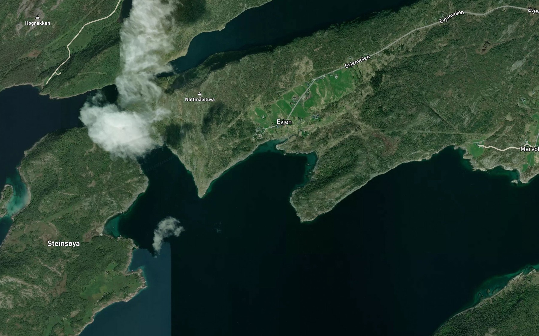 Satellite map of the Evjevika