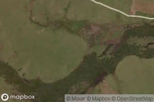 Arroyo de los Chanchos