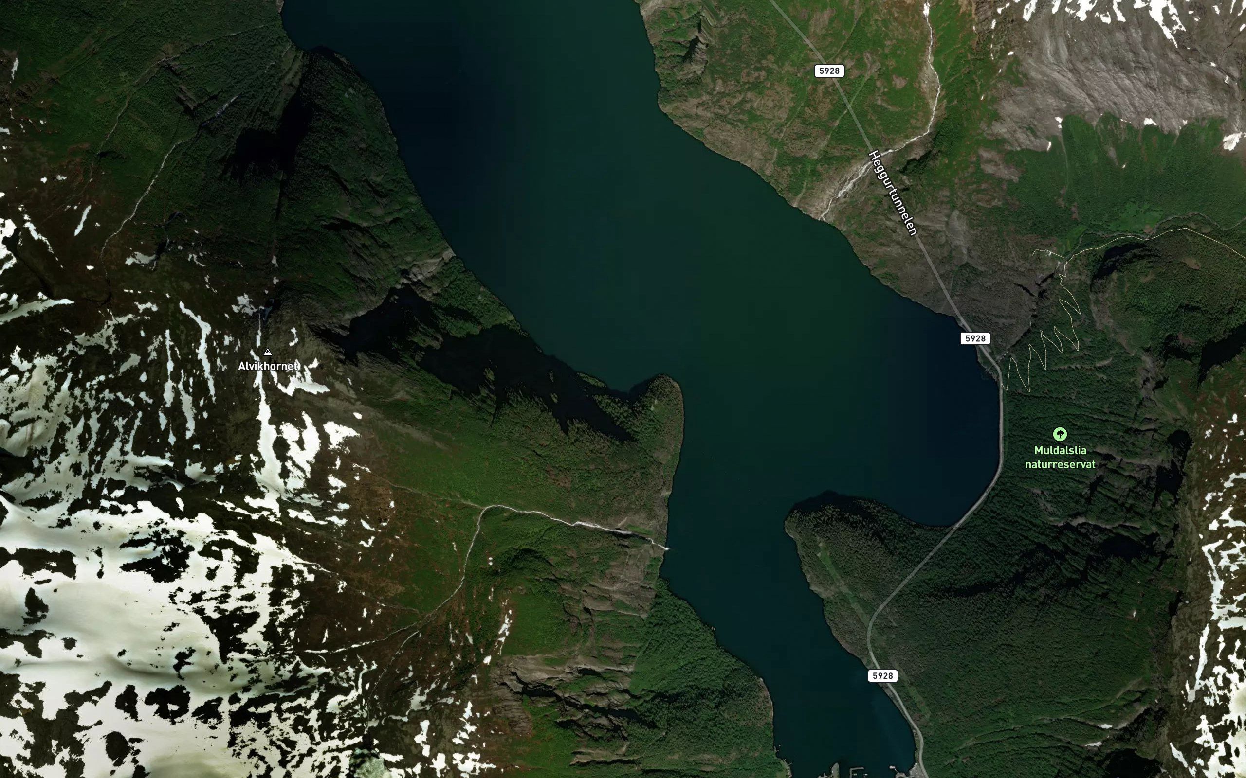 Seineskoppen