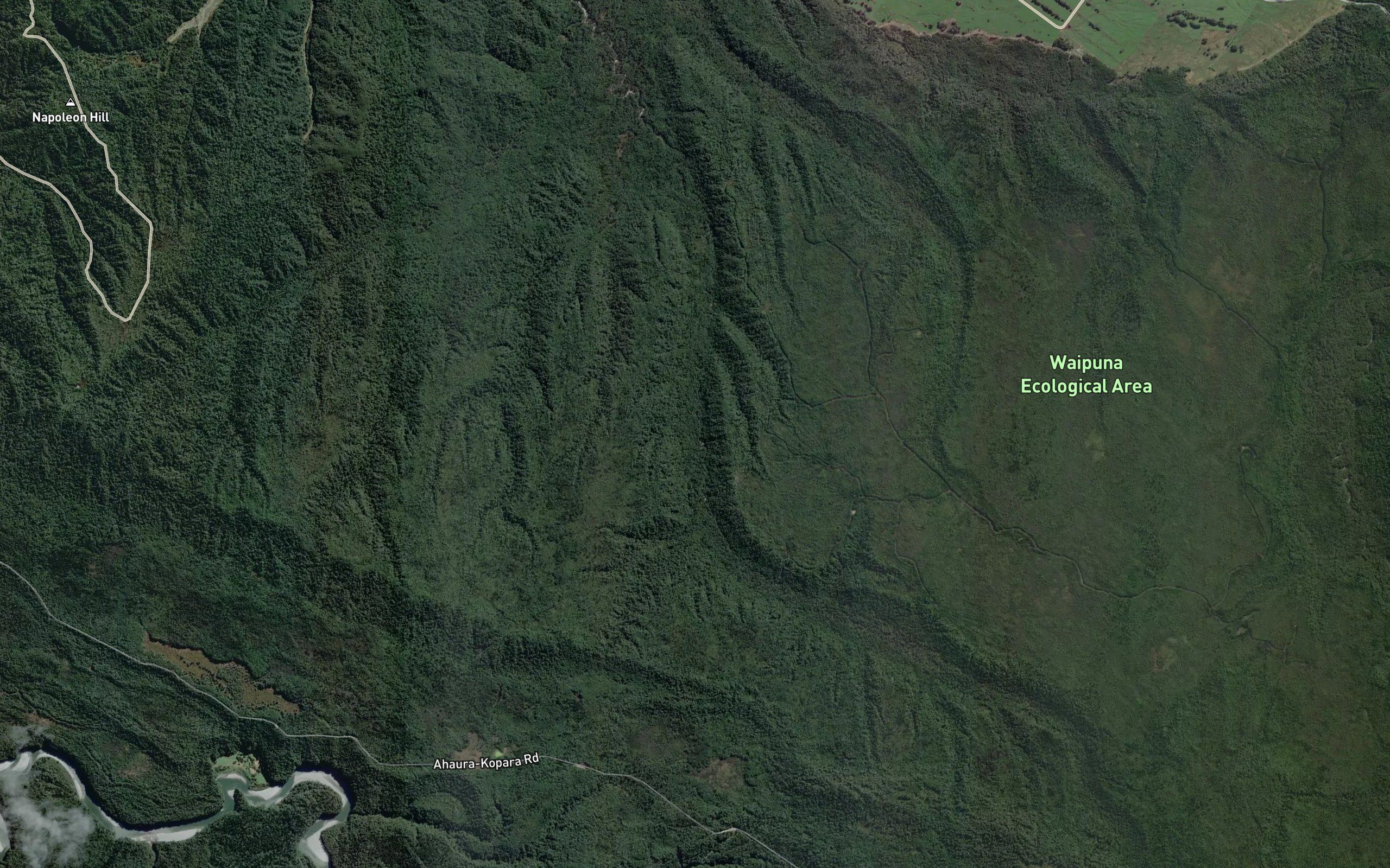 Waiiti Creek