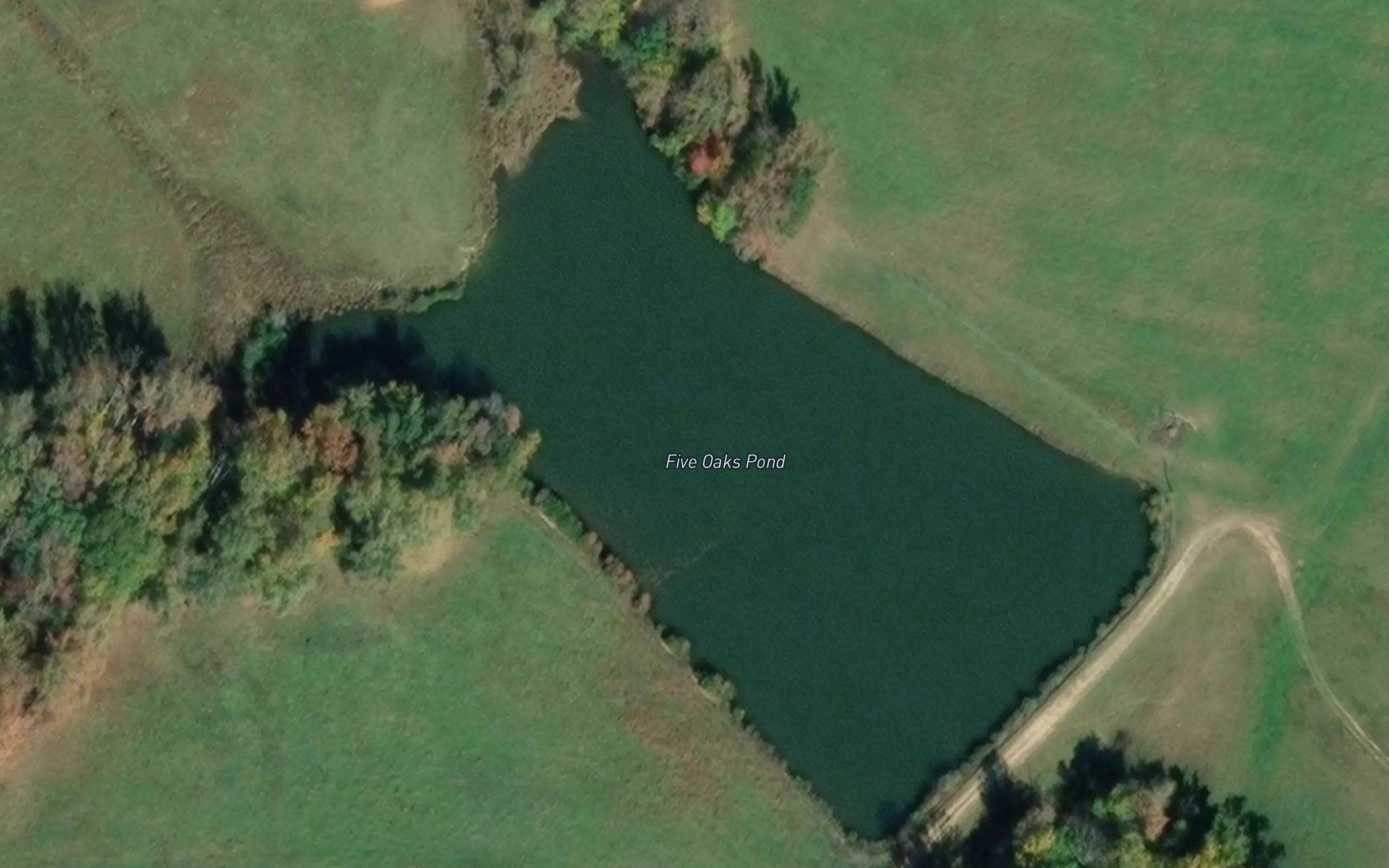Five Oaks Pond