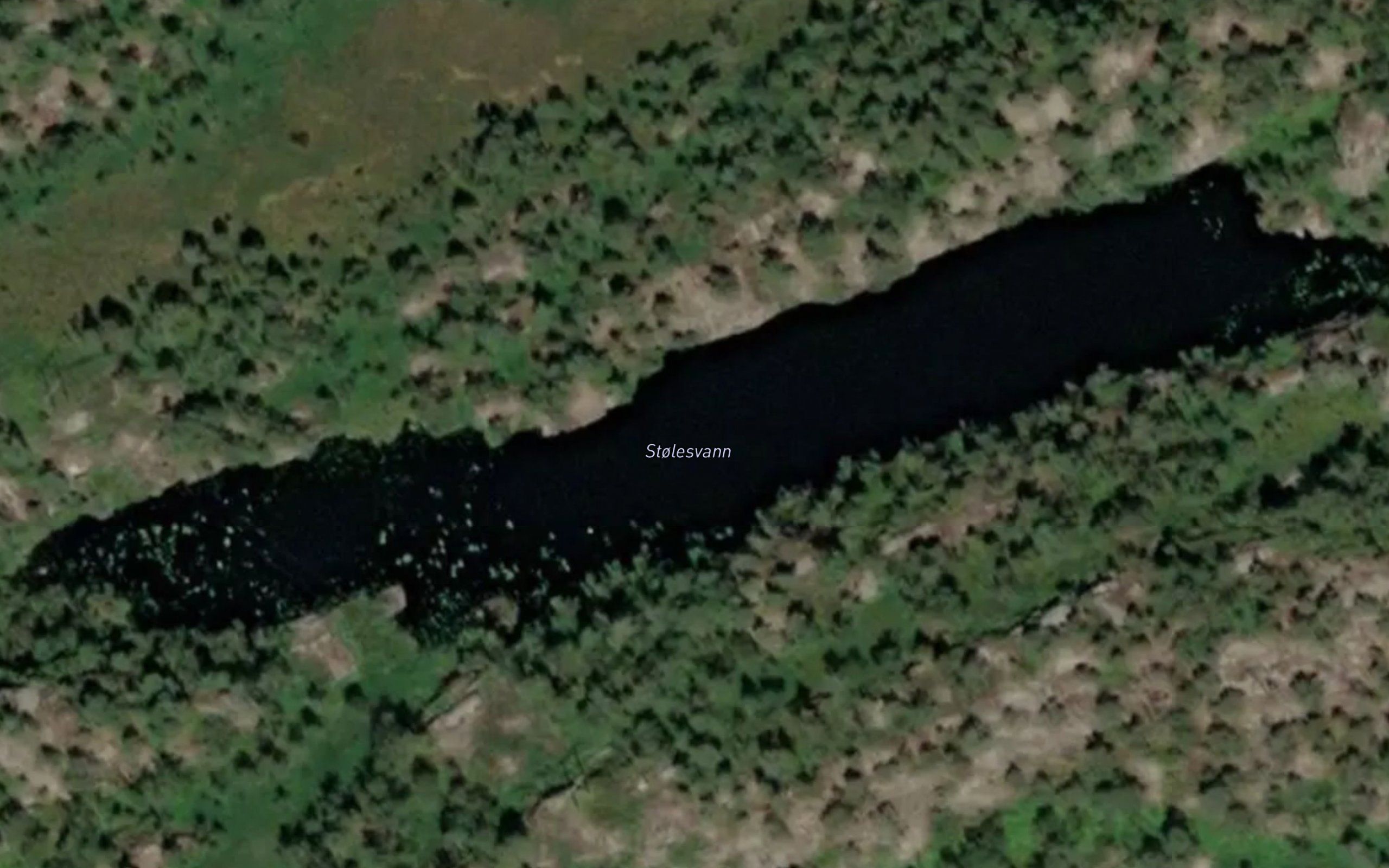 Stolesvann
