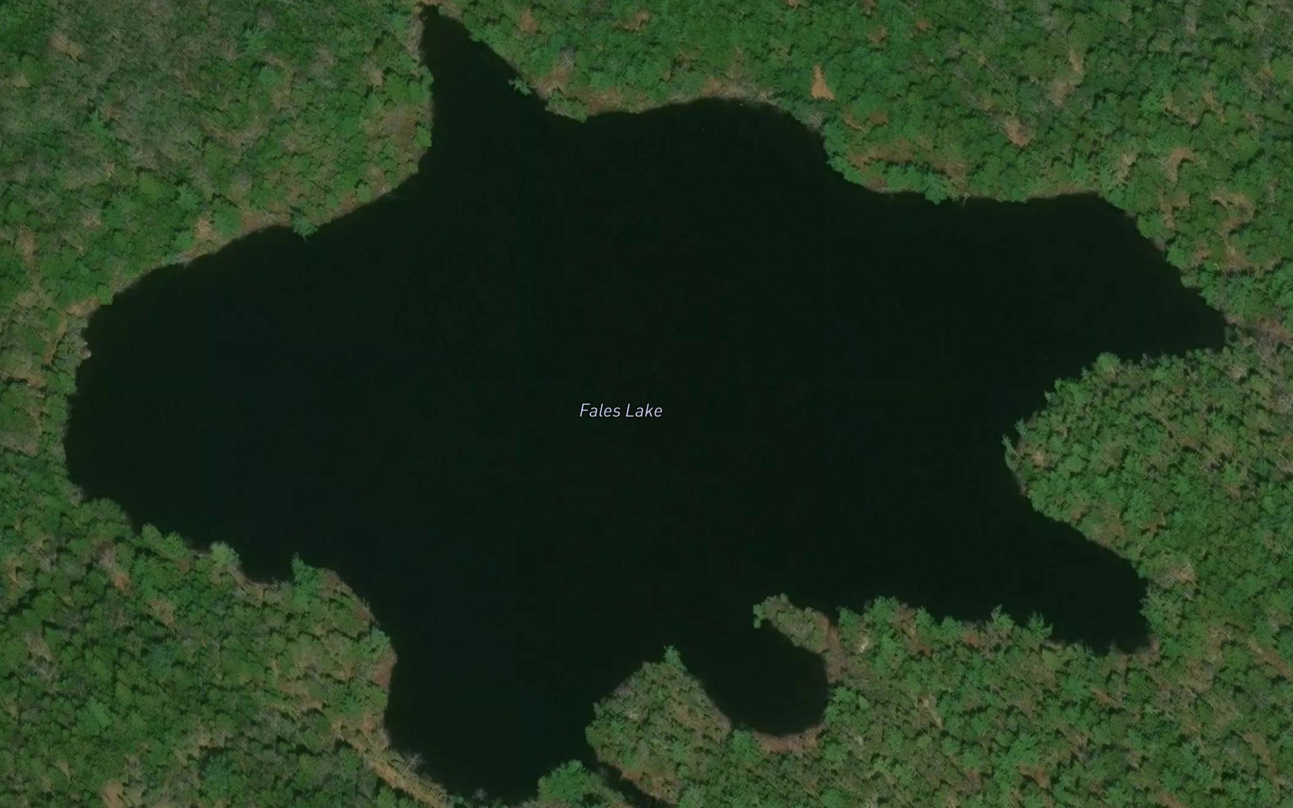 Fales Lake