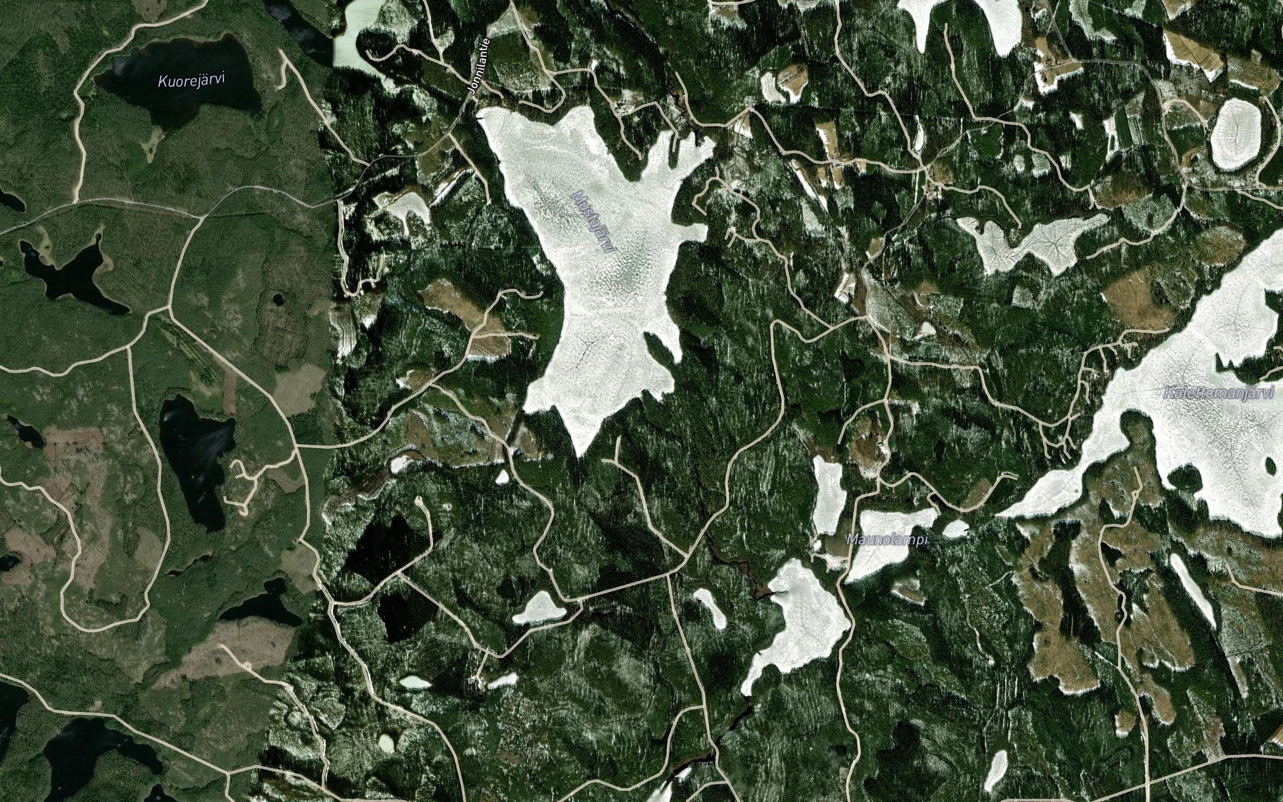 Mustanoja