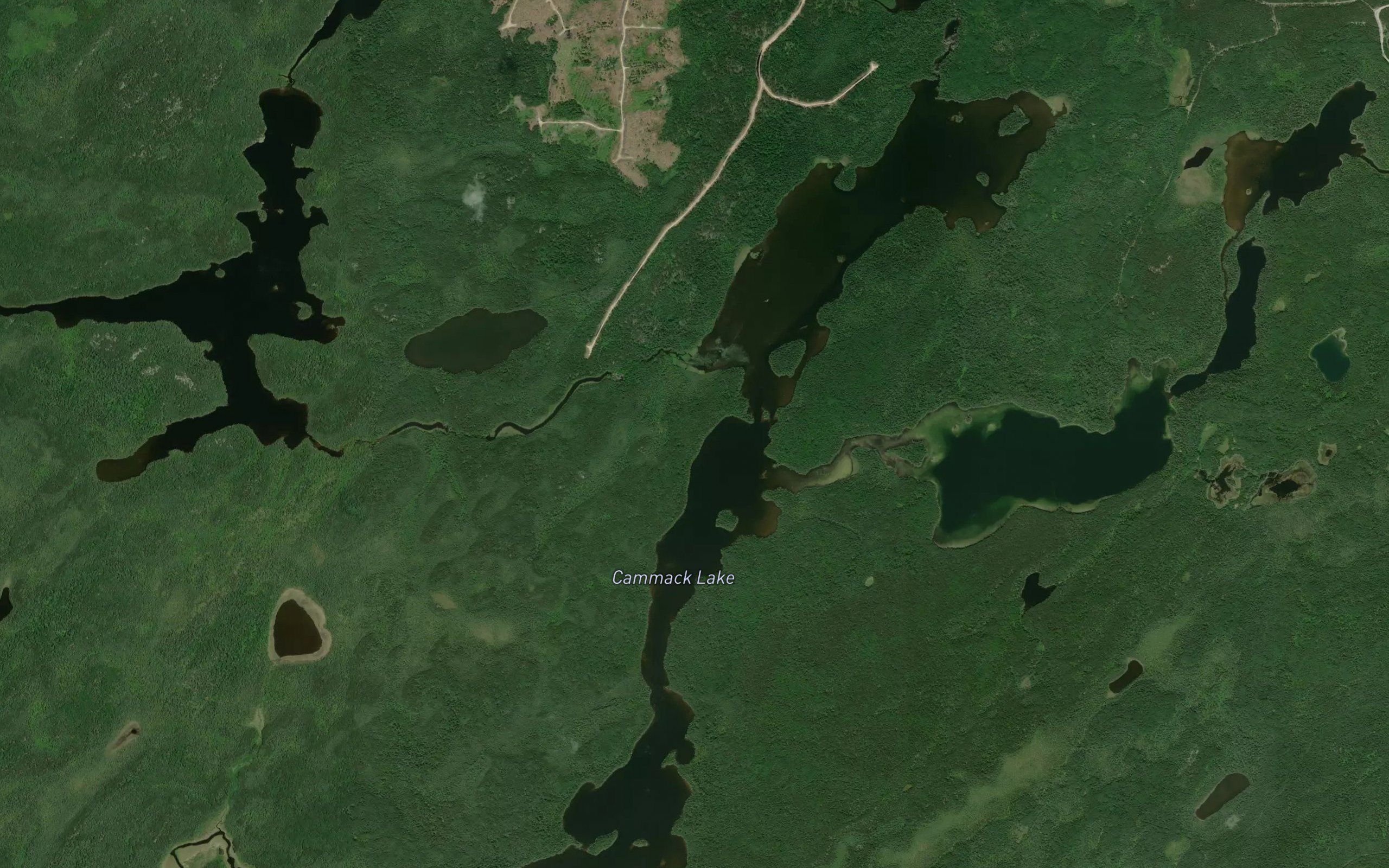 Alph Creek