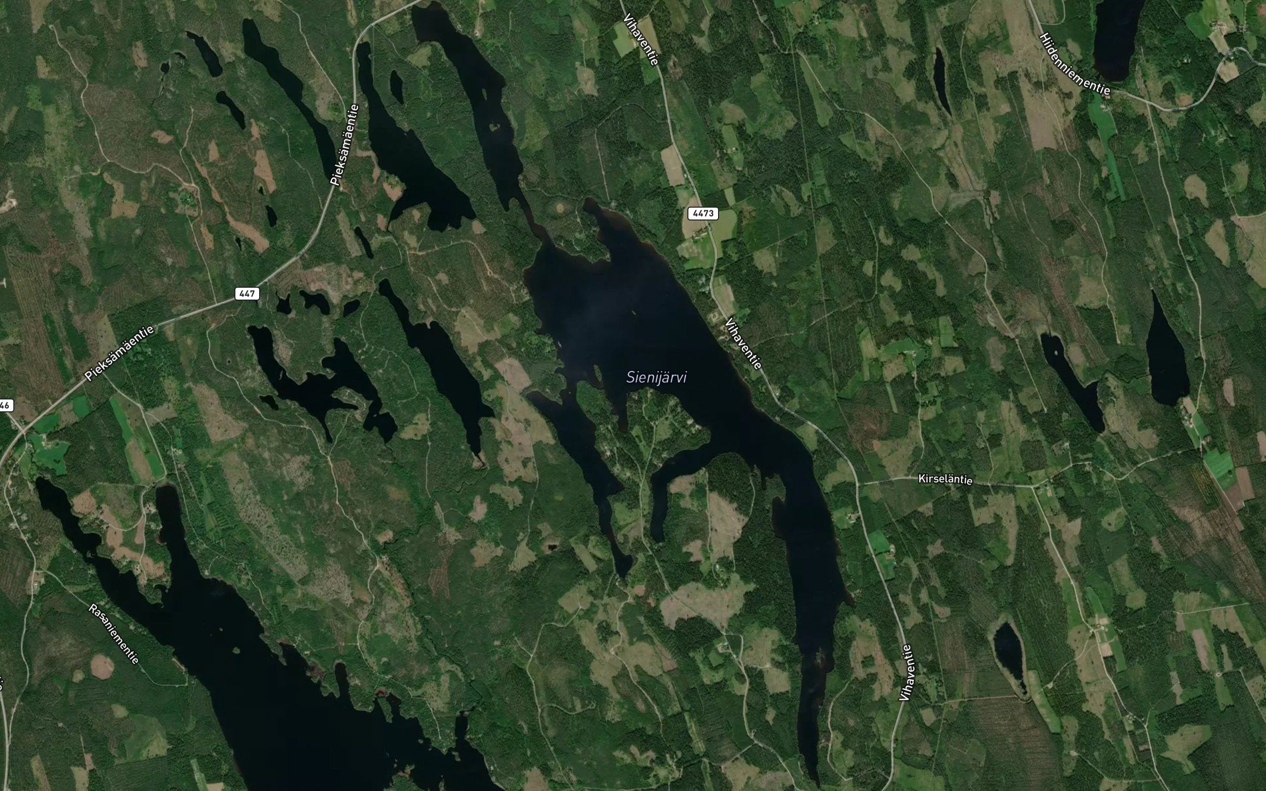 Sienijarvi