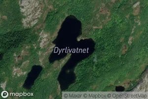 Dyrlivatnet