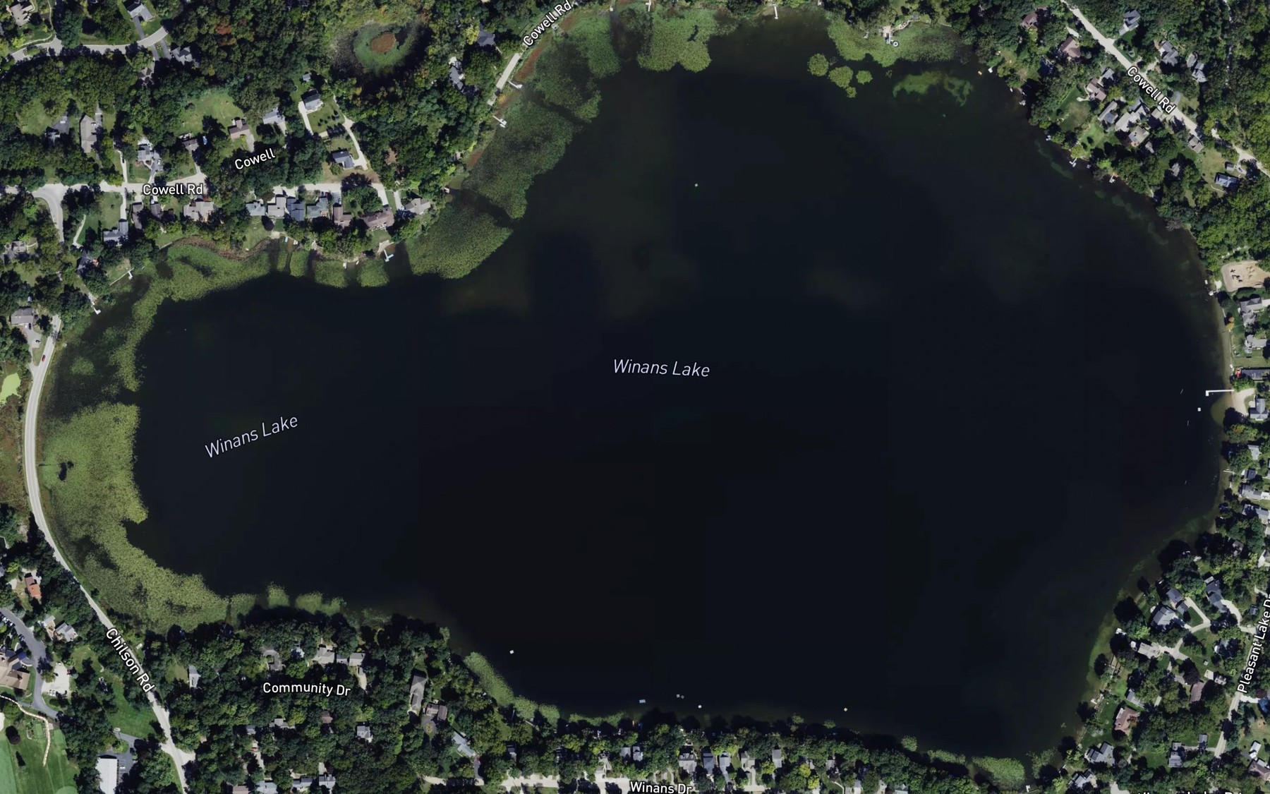 Satellite map of the Winans Lake