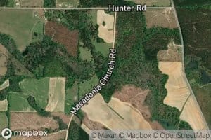 Hunter Branch