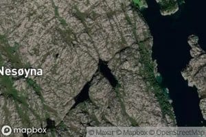 Mjelkediket