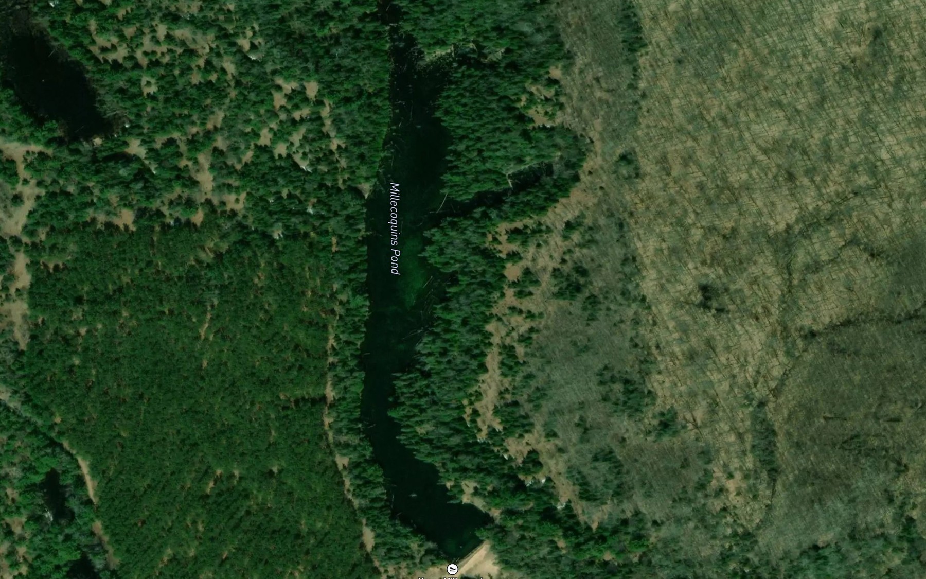 Satellite map of the Millecoquins Pond