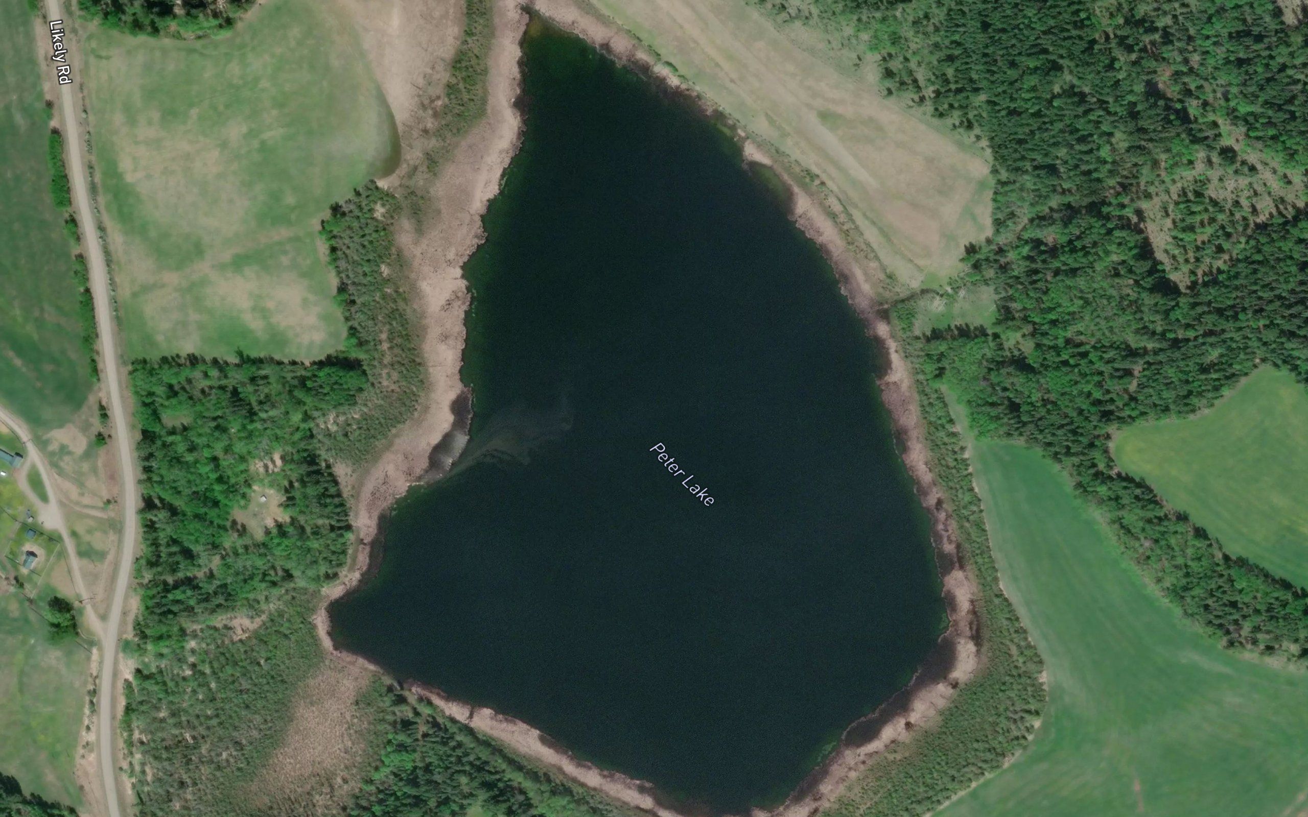 Peter Lake