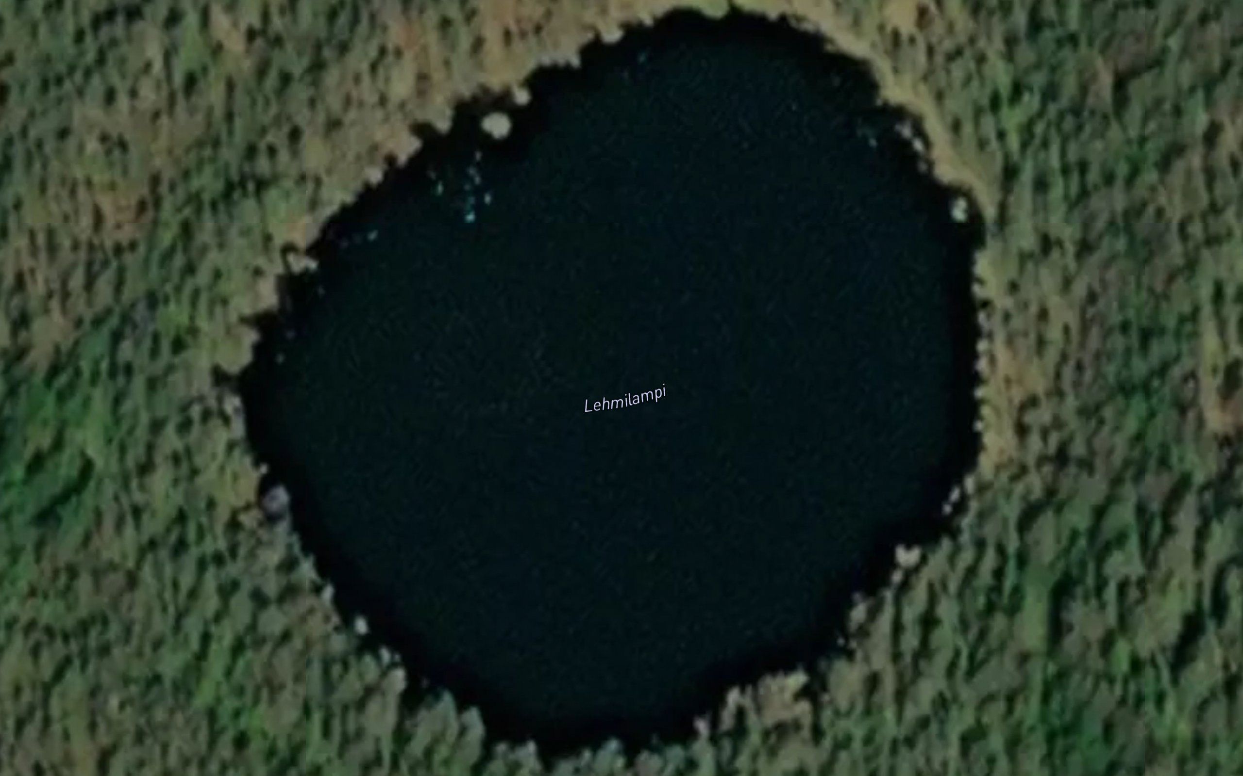 Lehmilampi