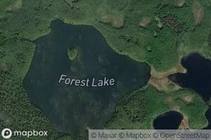 Forest Lake
