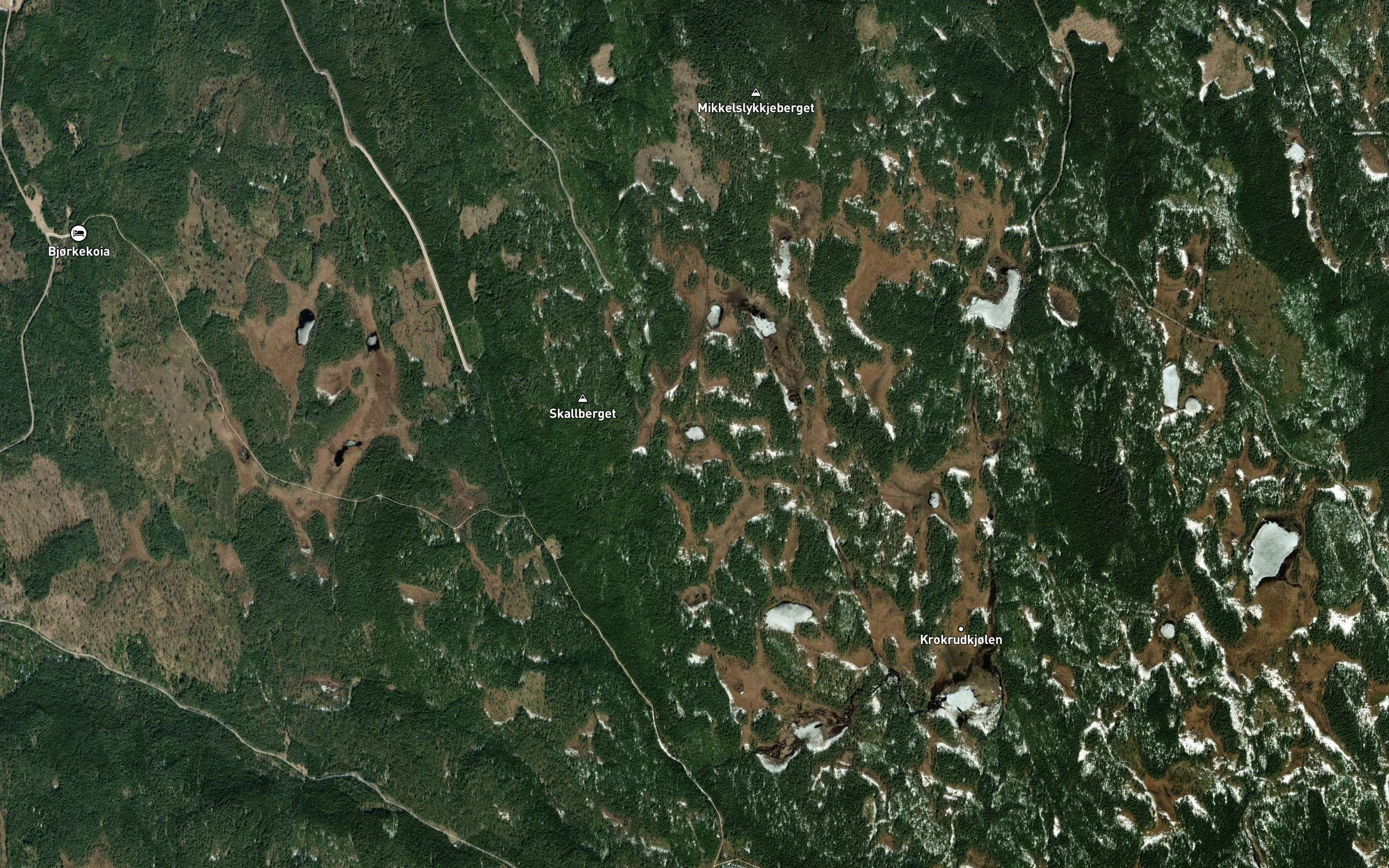 Radelstjernet
