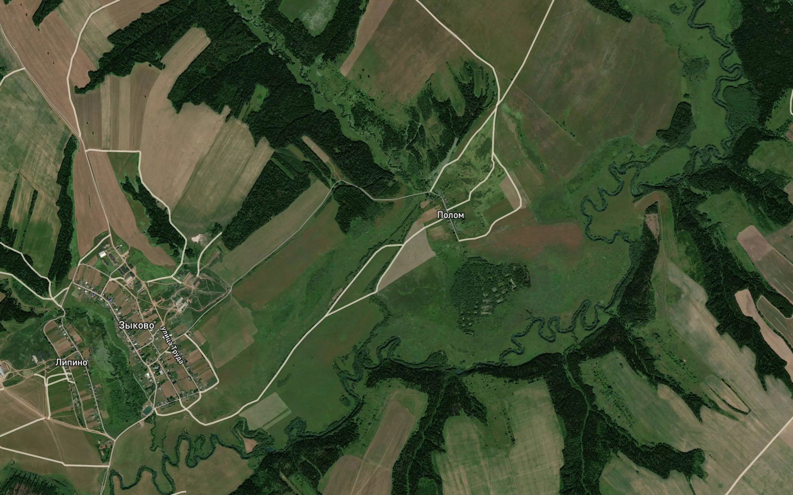 Surgut