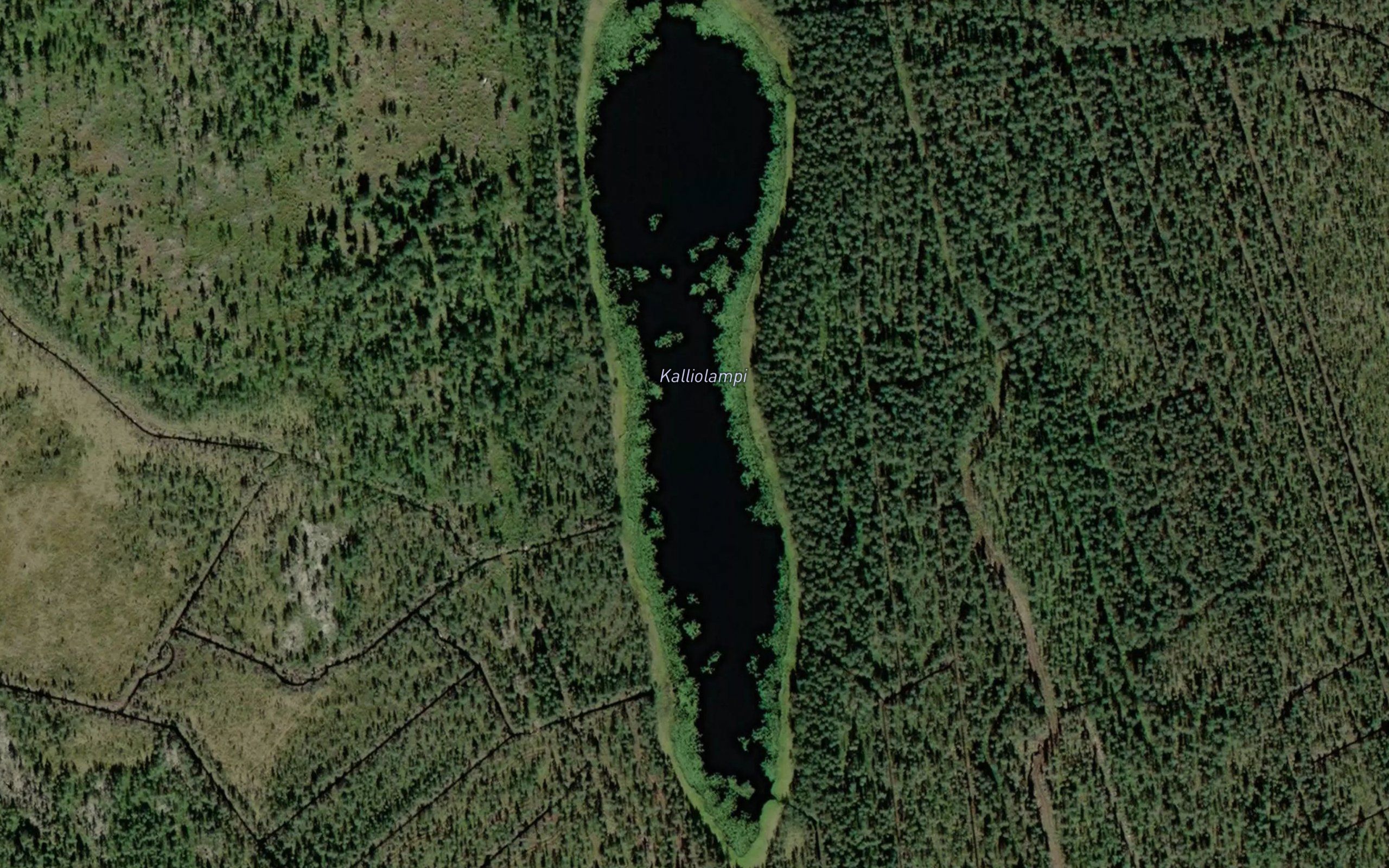 Kalliolampi