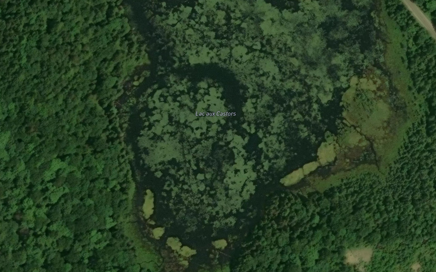 Satellite map of the Lac aux Castors