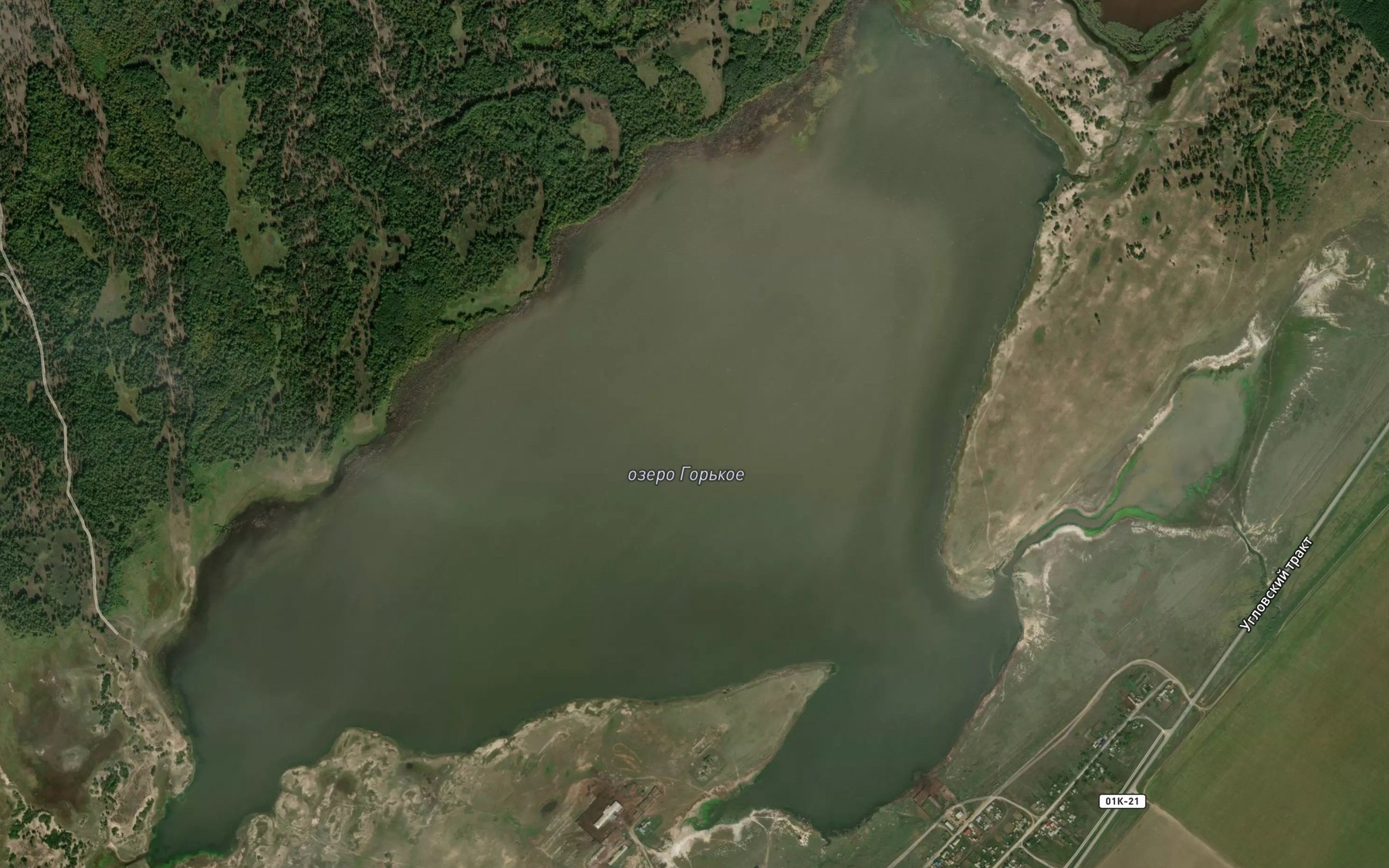 Satellite map of the Ozero Gor'koye