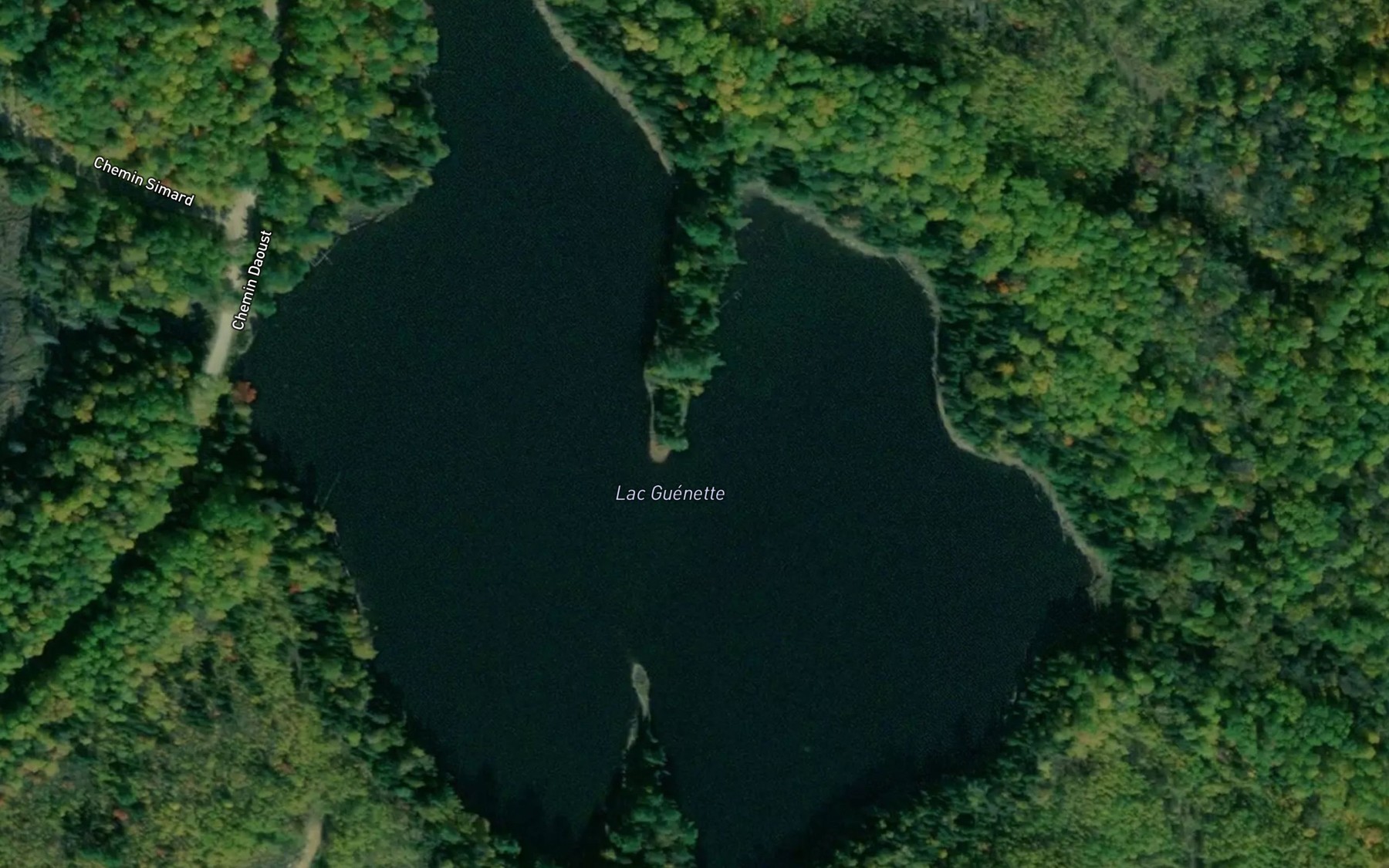 Satellite map of the Lac Guenette