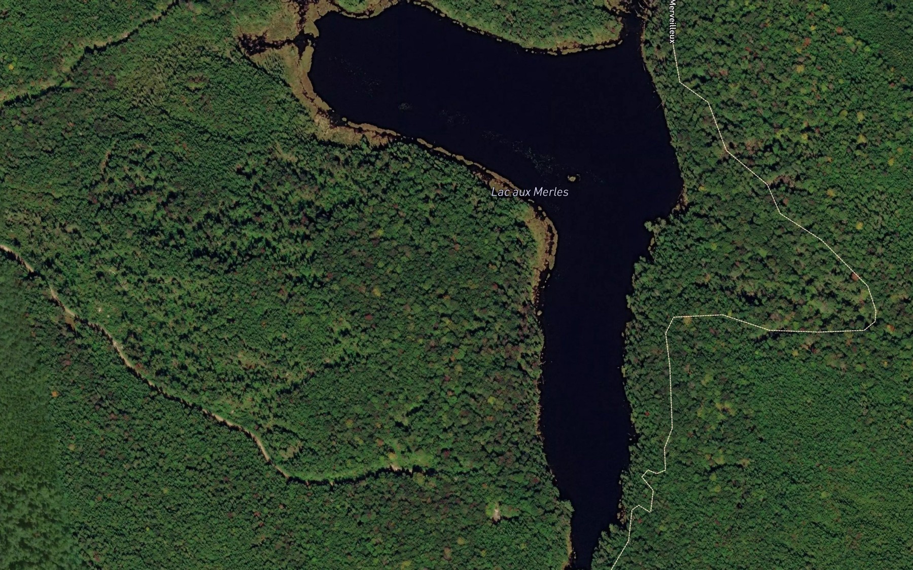 Satellite map of the Lac aux Merles