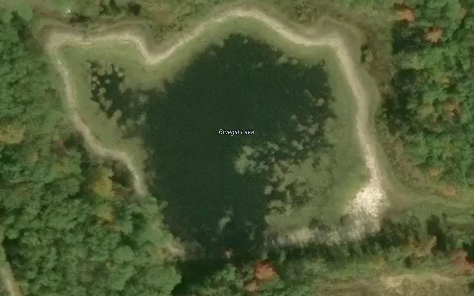 Satellite map of the Bluegill Lake