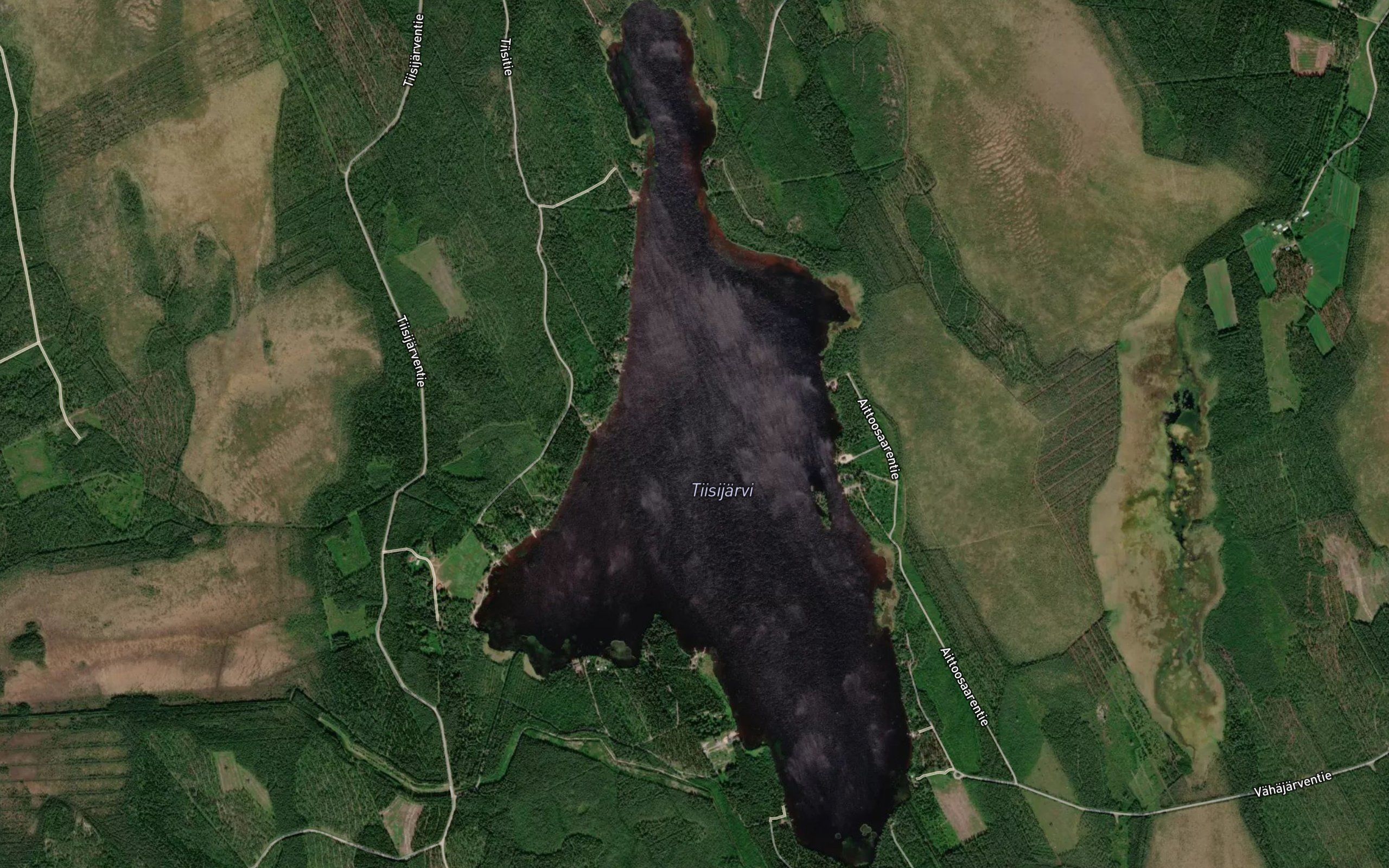 Tiisjarvi