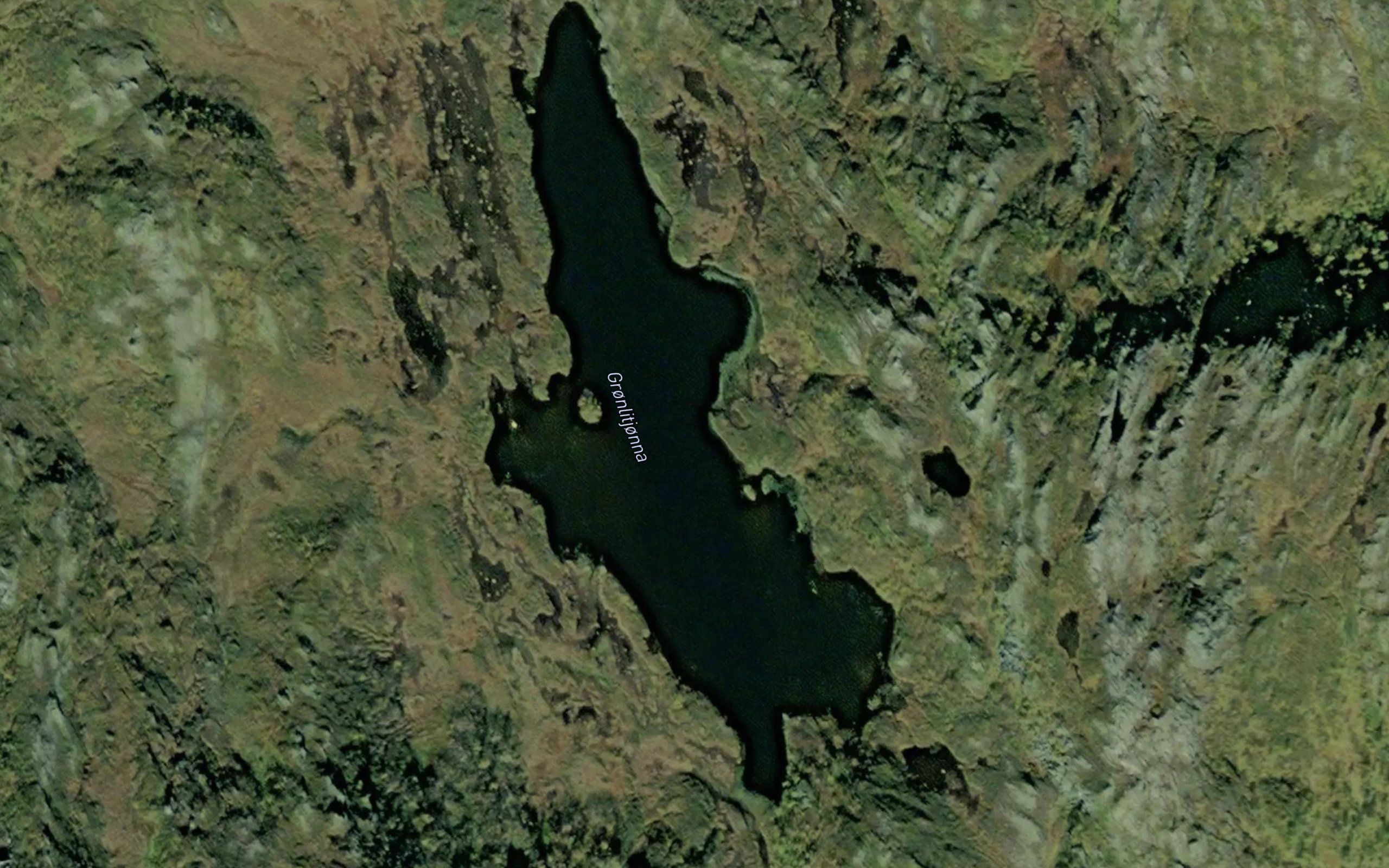 Gronlitjonna