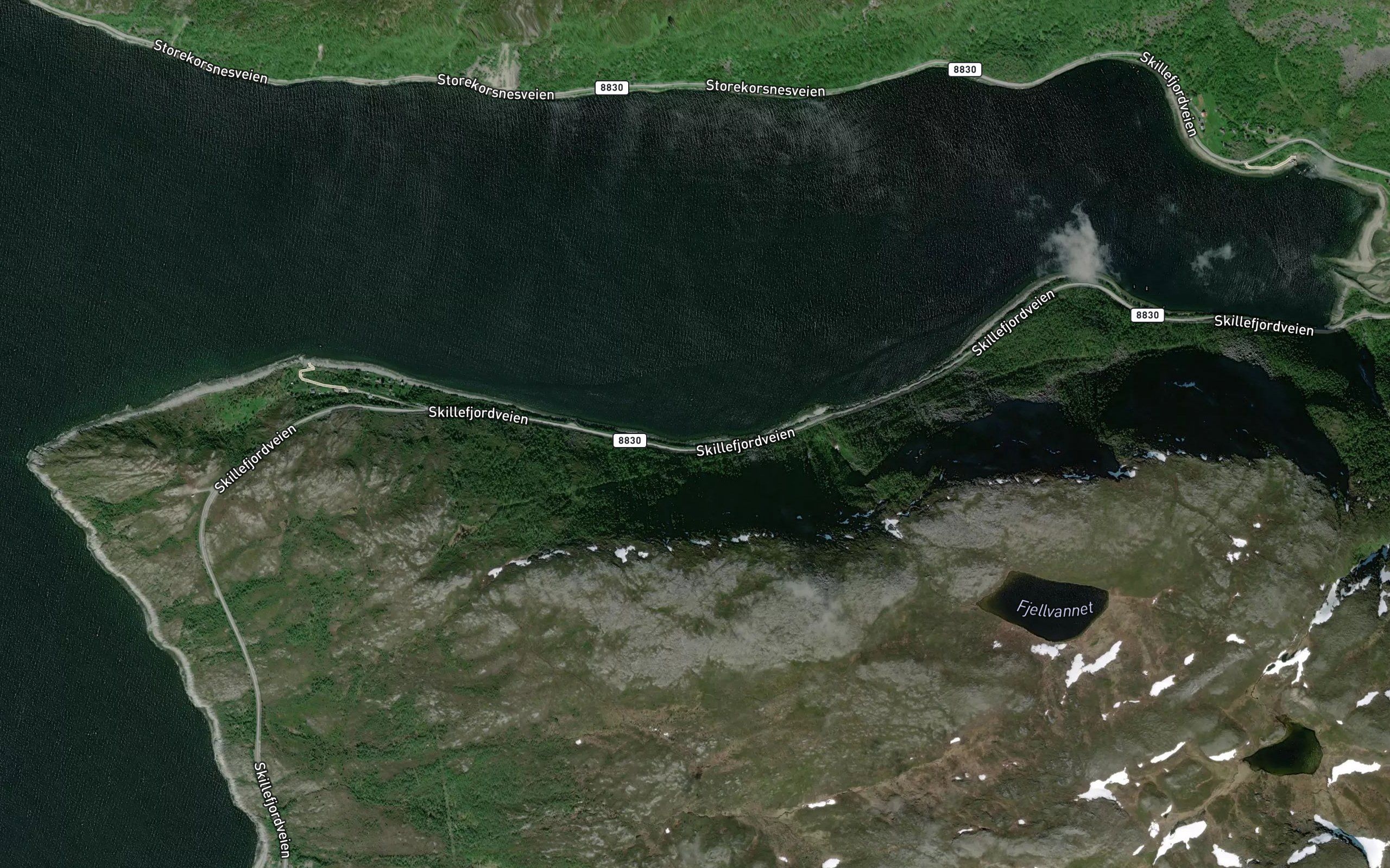 Fjellbukta