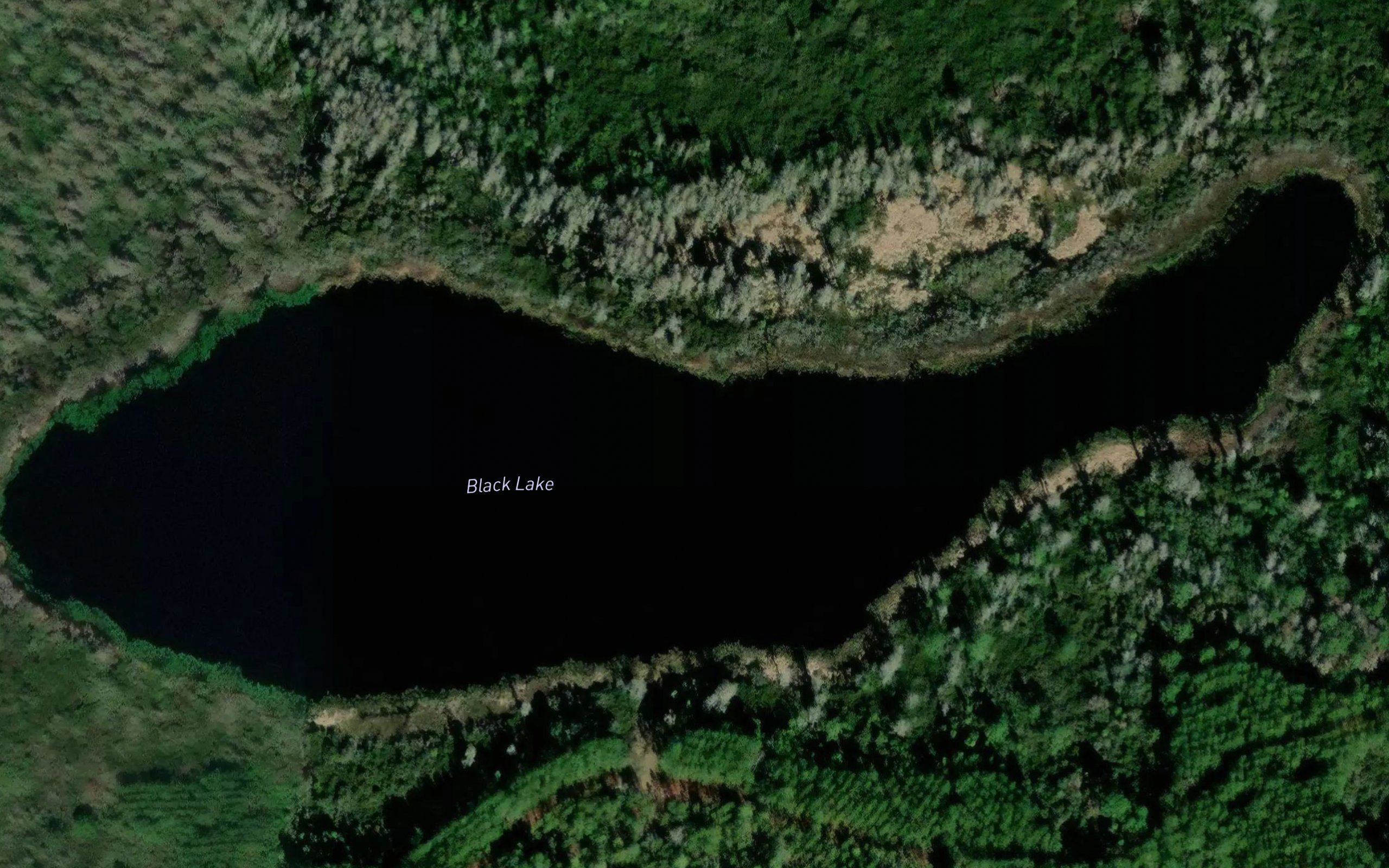 Black Lake