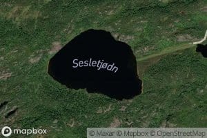 Sesletjorn
