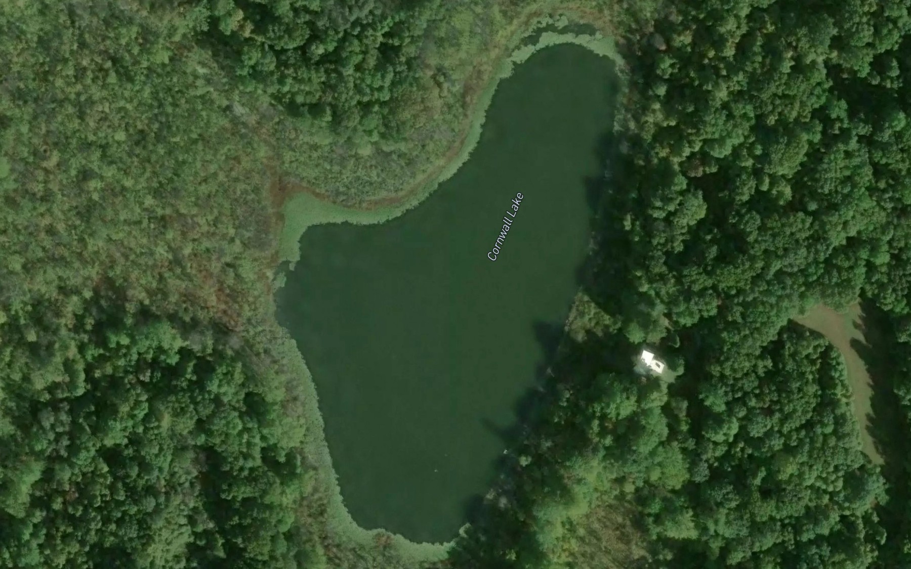 Satellite map of the Cornwall Lake