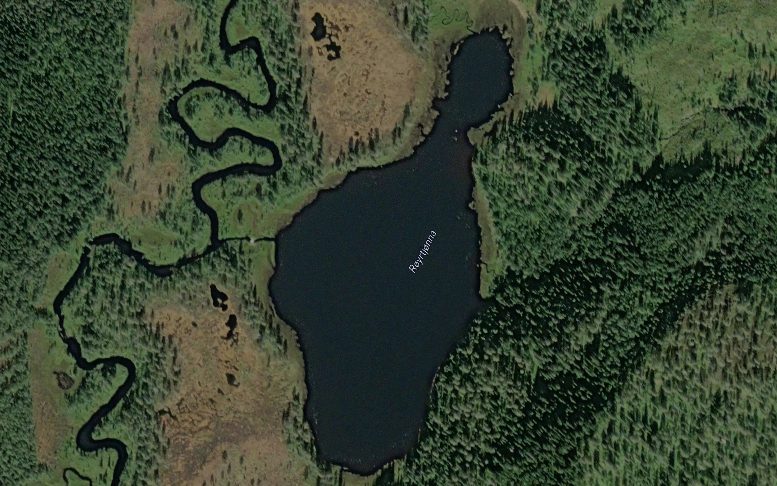 Royrtjorna