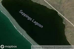Seppings Lagoon