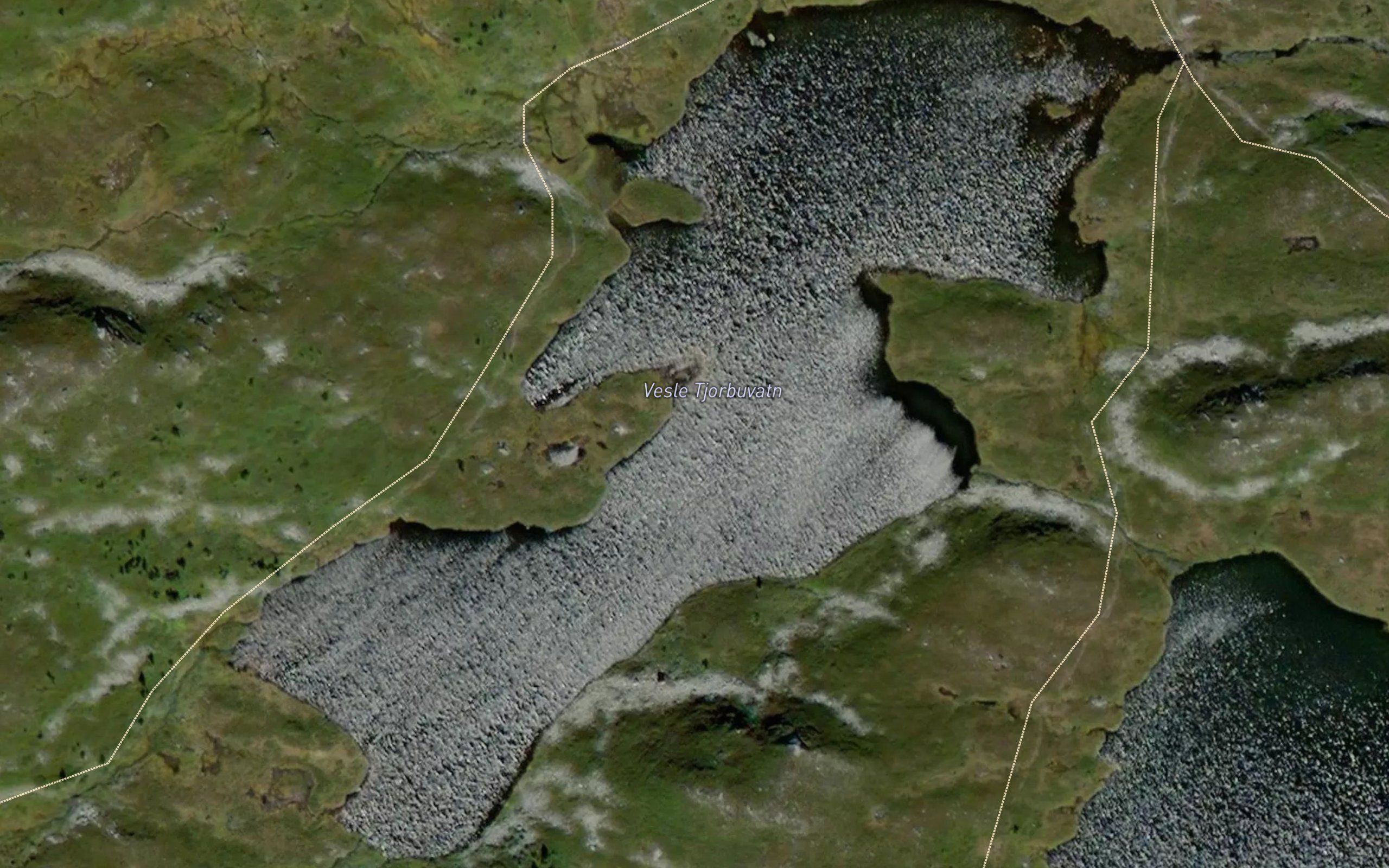 Tjorbutjorni,vle