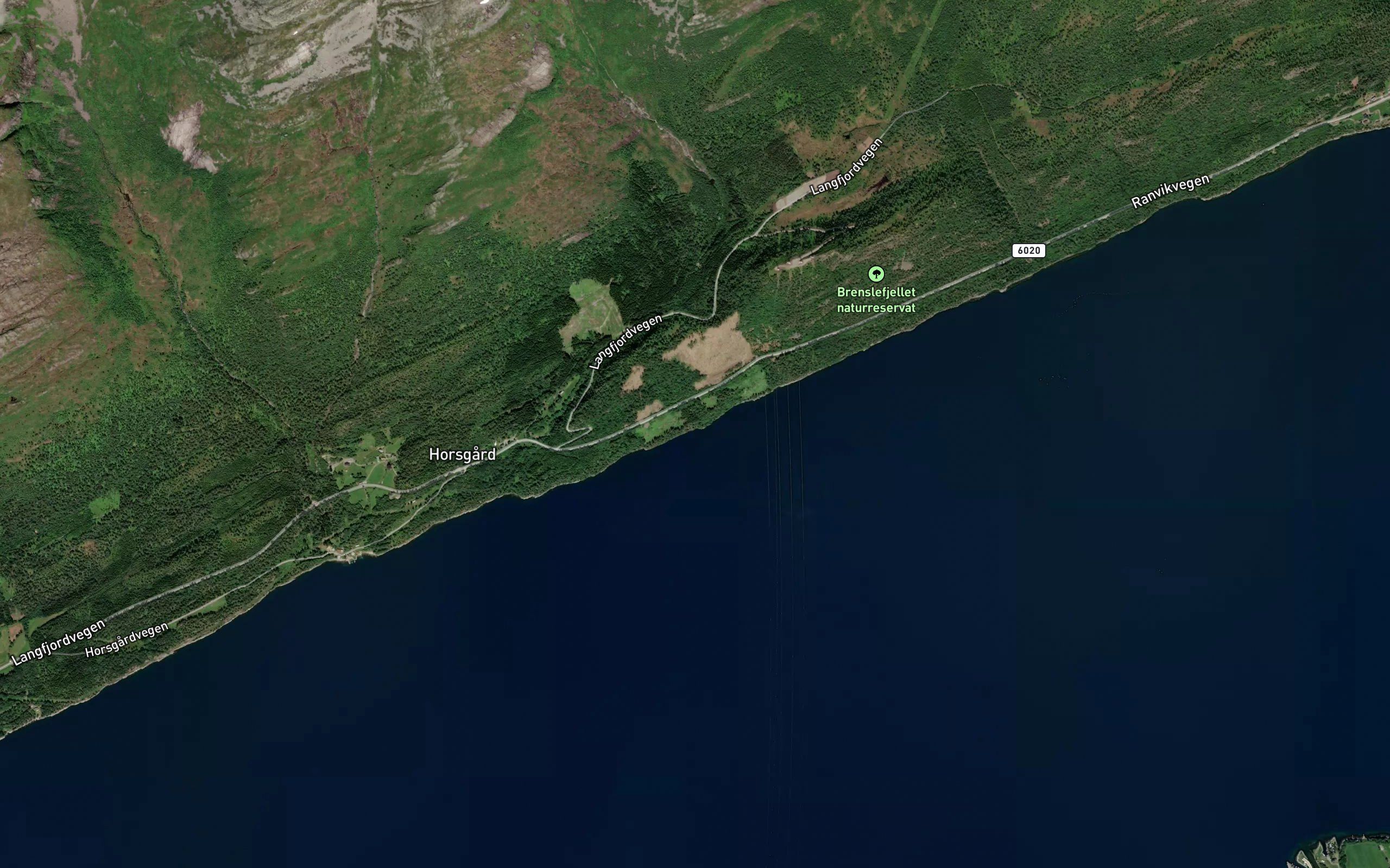Staurvika