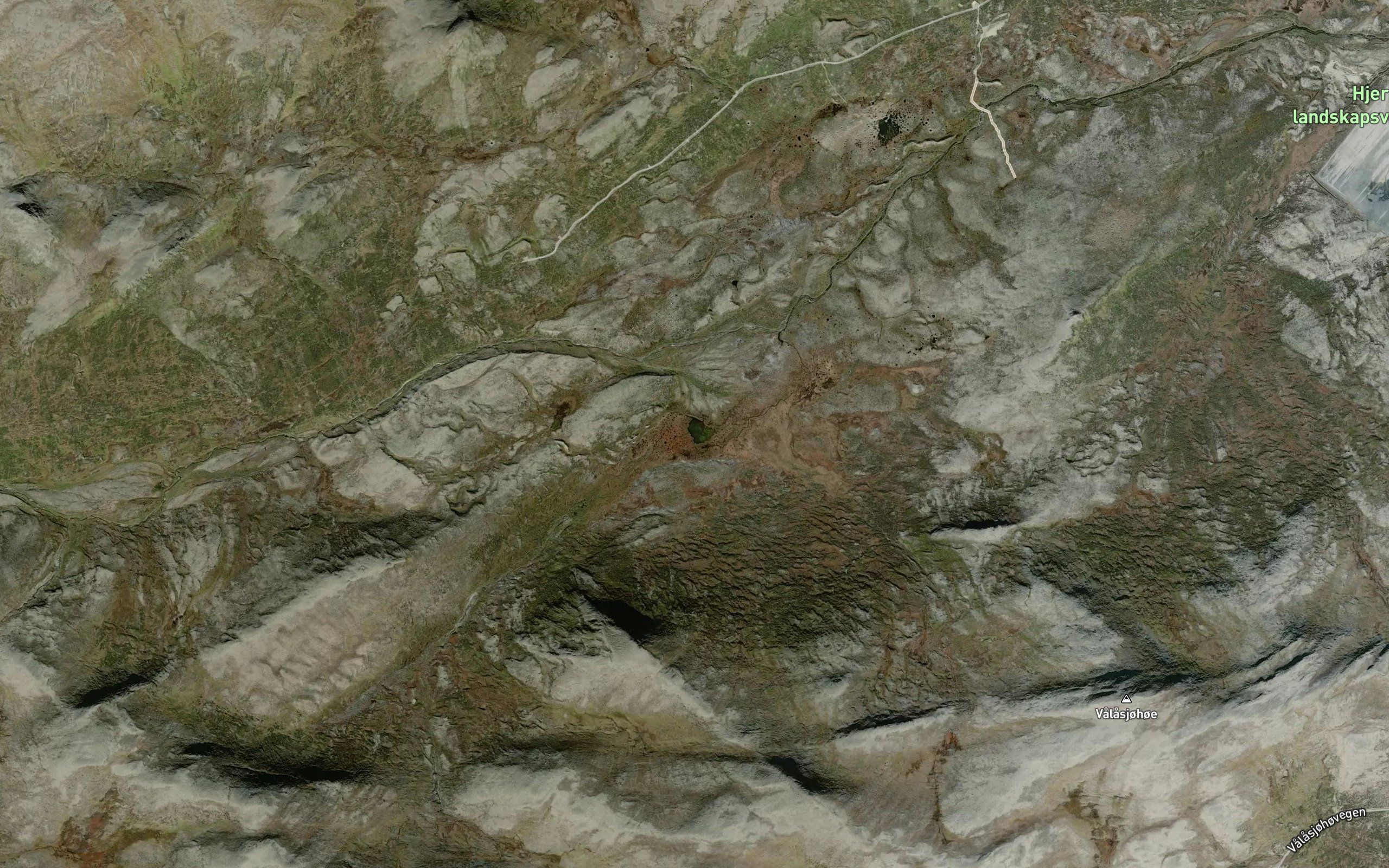 Grisungtjorni