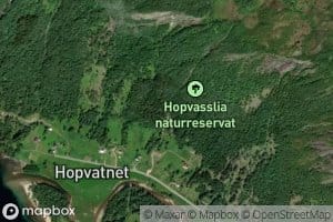 Hammarelva
