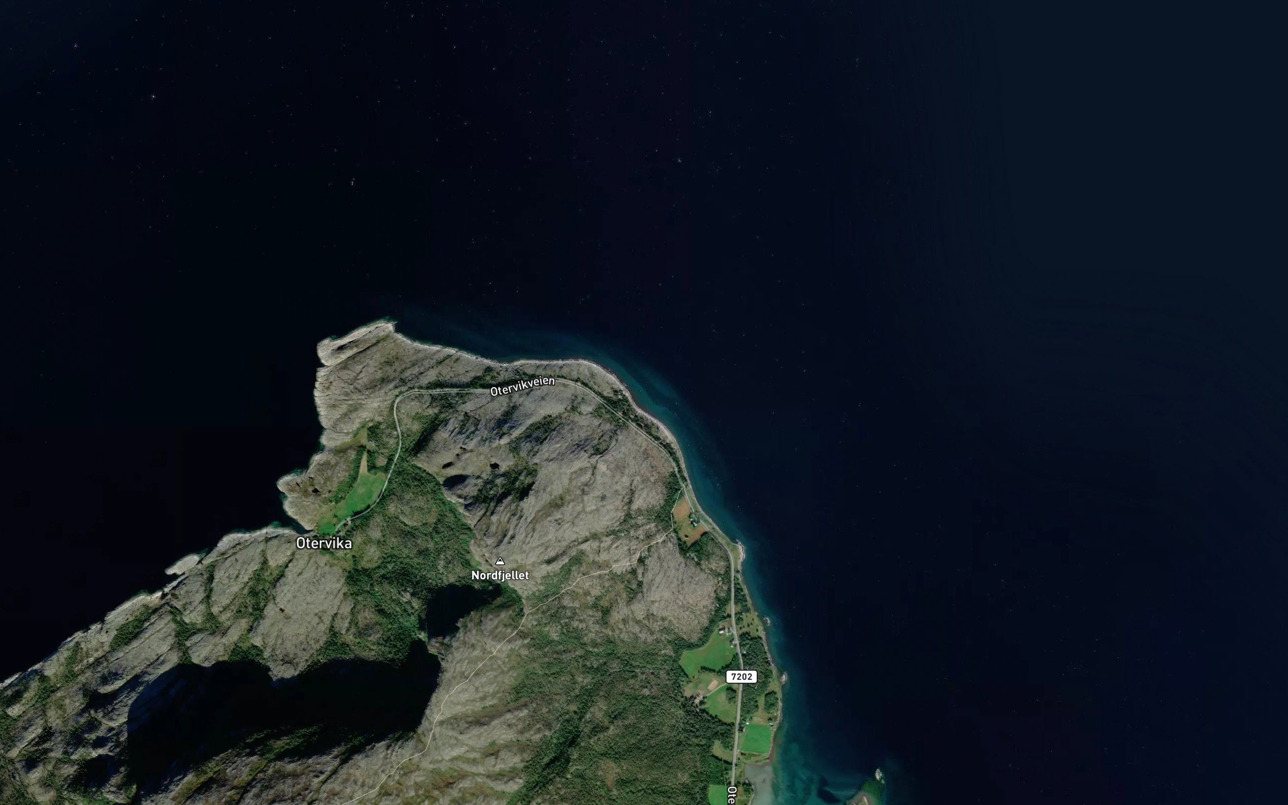 Skogvika