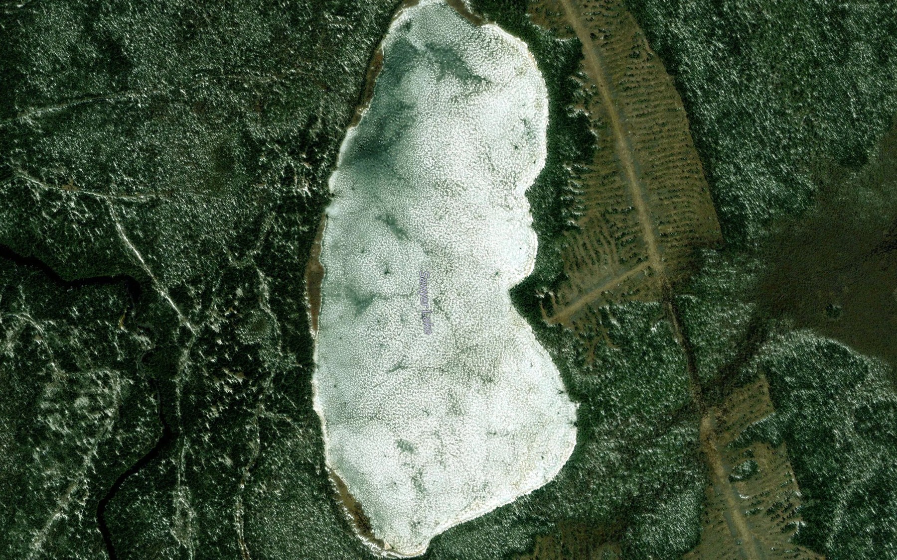 Satellite map of the Sawyer Lake