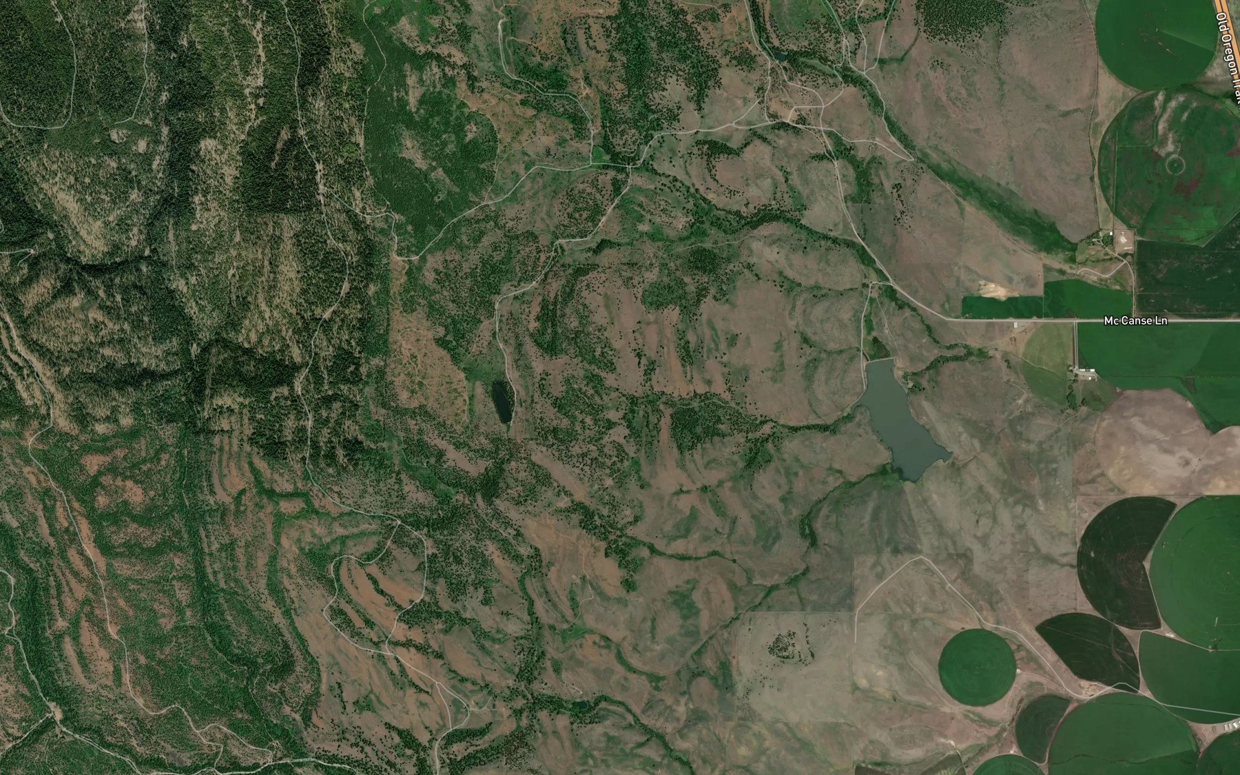 Satellite map of the Bowman Spring