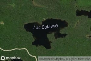 Lac Cutaway