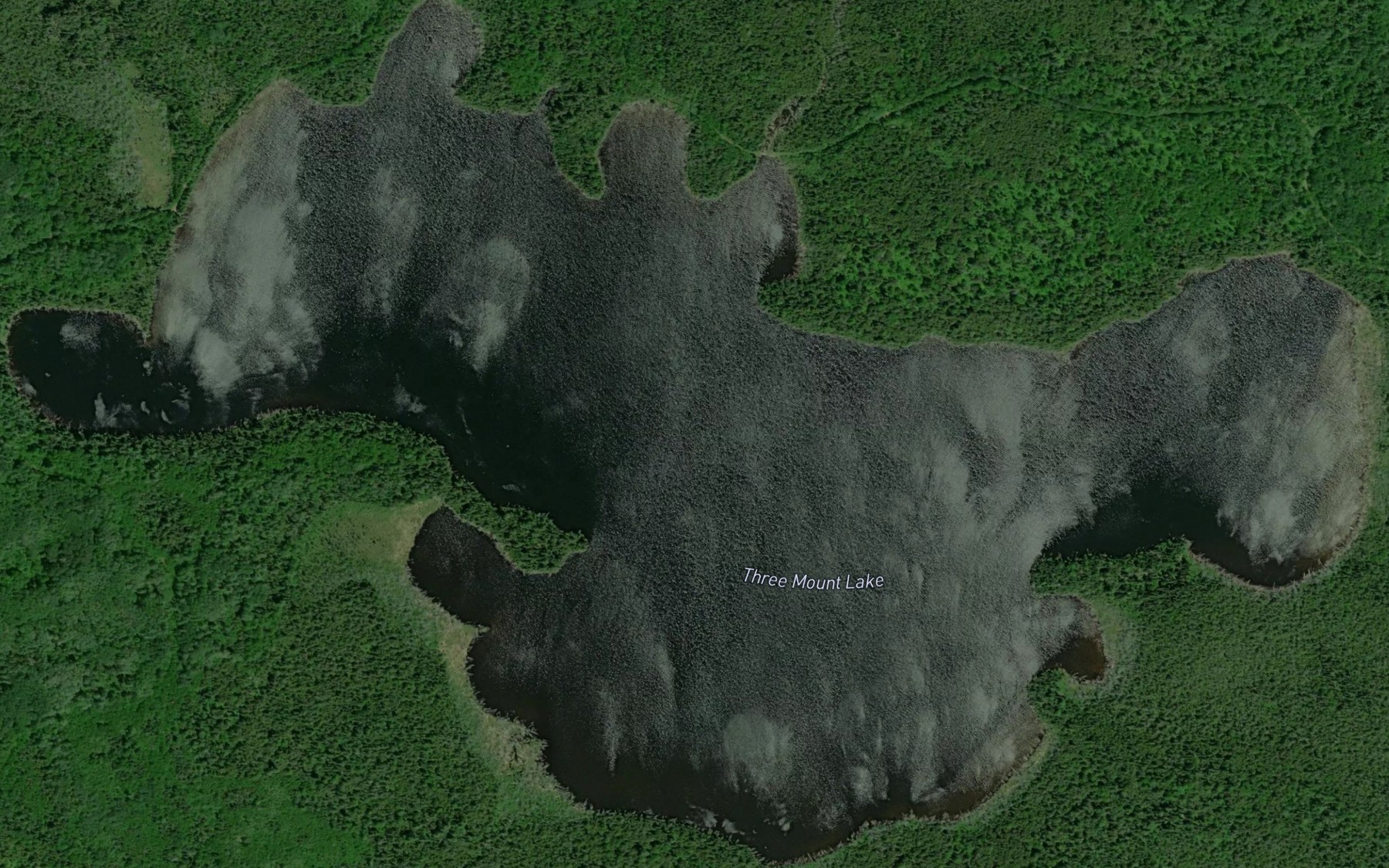 Satellite map of the Three Mount Lake