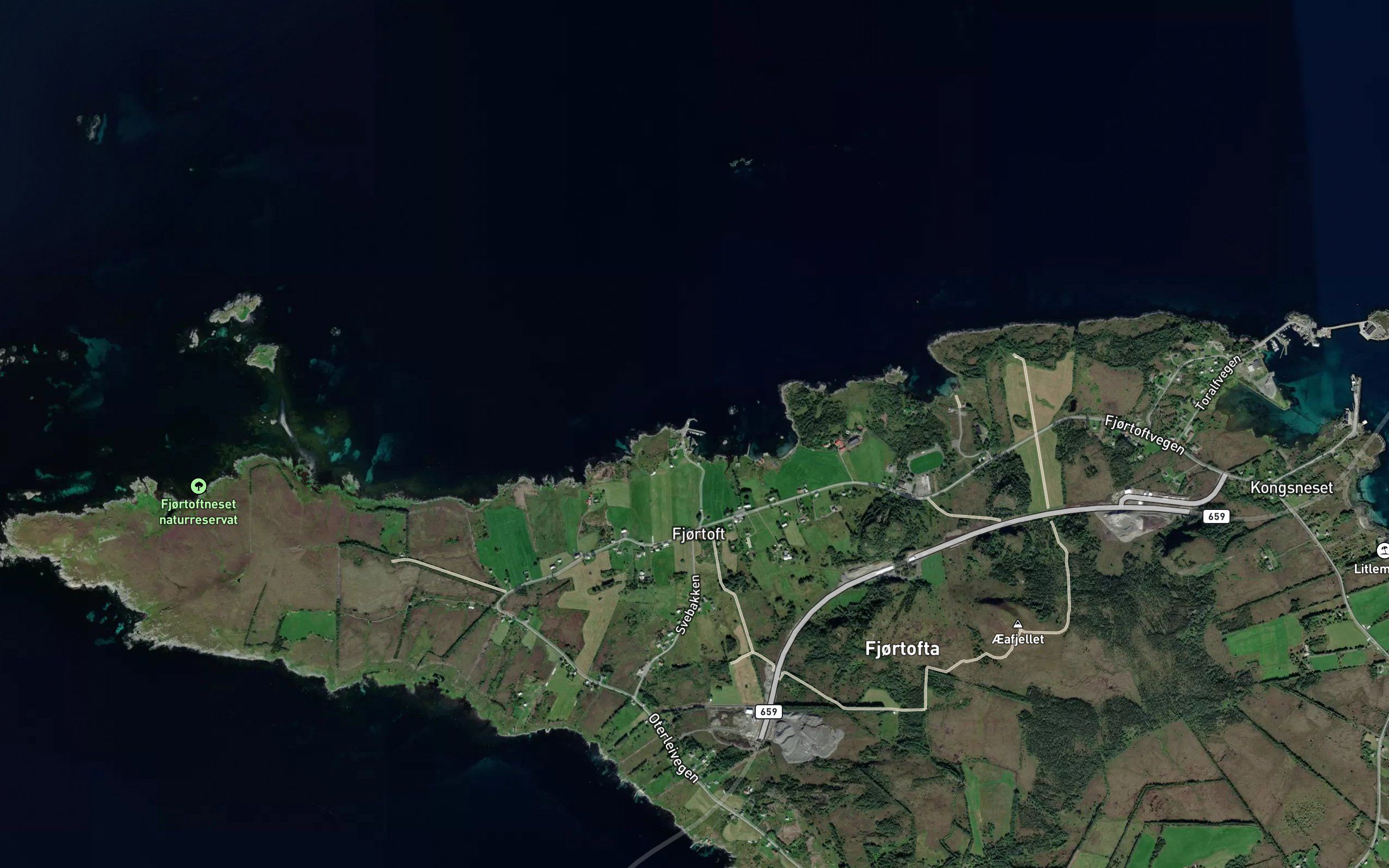 Naustvika