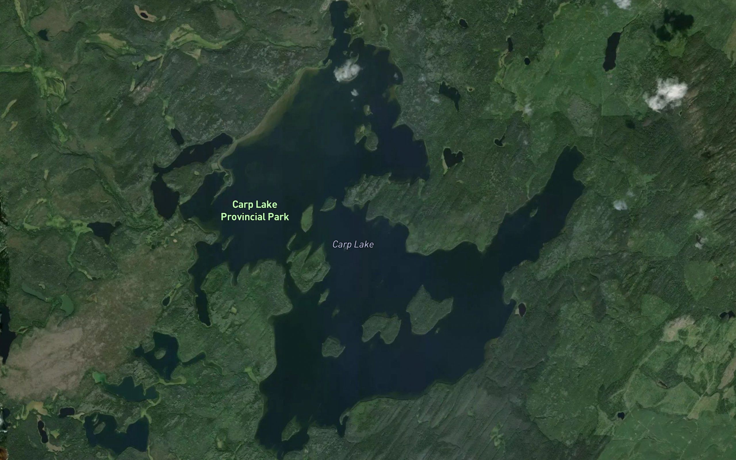 Carp Lake